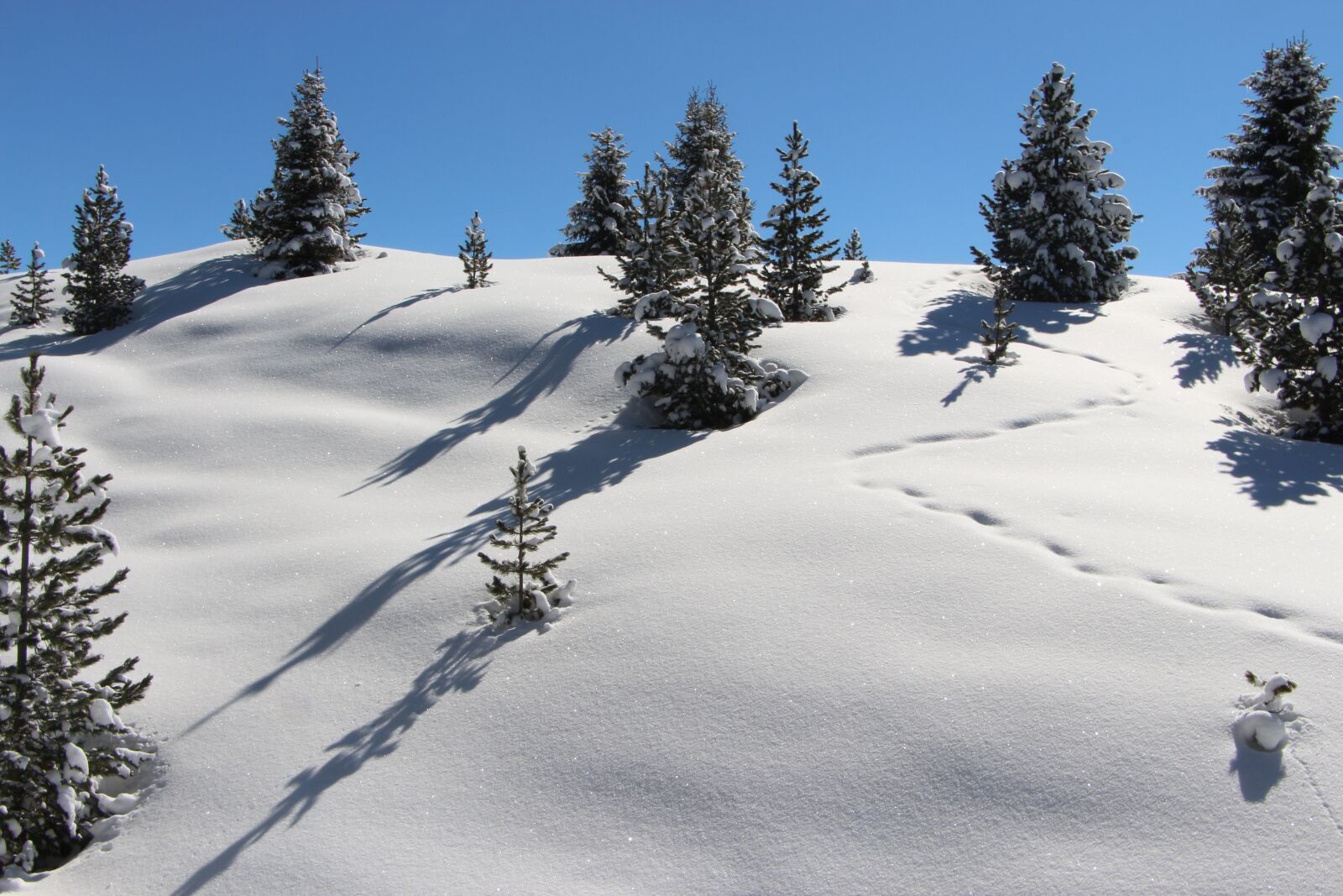 Canon EOS 700D (EOS Rebel T5i / EOS Kiss X7i) sample photo. Snow, mountain, alpine photography