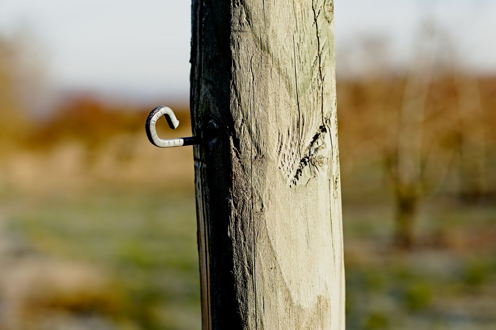 Canon EF 50mm F1.8 STM sample photo. Nail, hook, wood photography