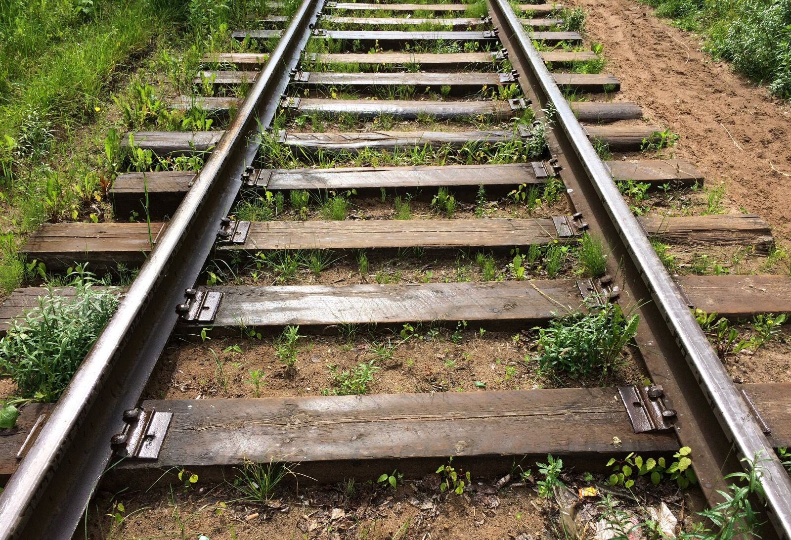 iPhone 5s back camera 4.15mm f/2.2 sample photo. Rails, railway, old photography