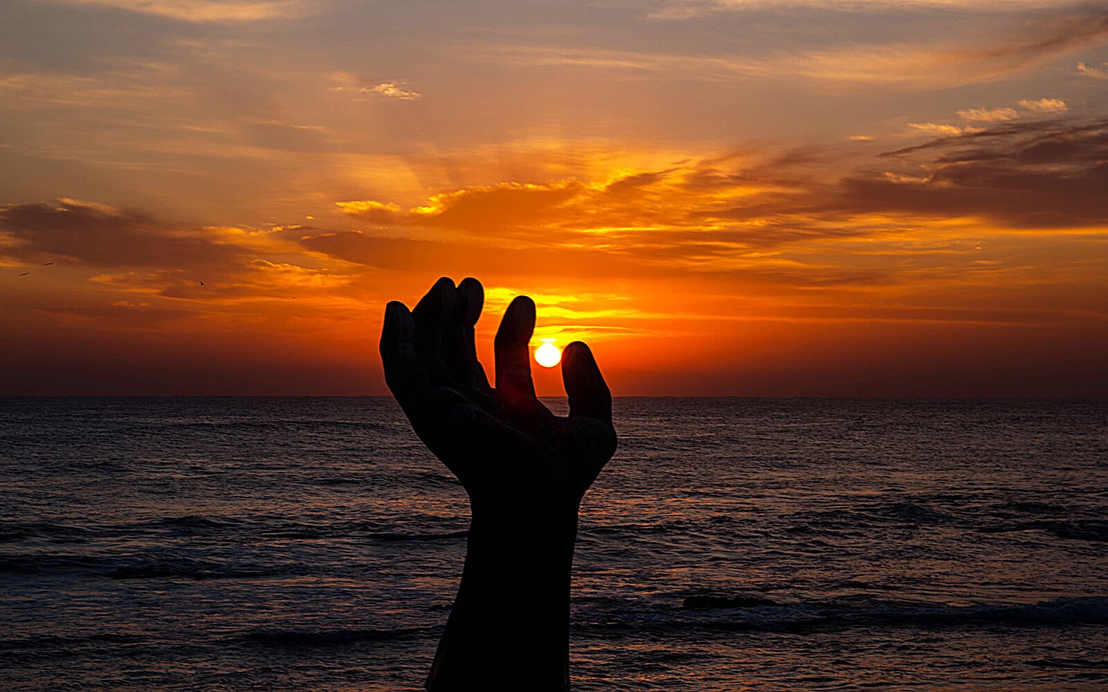 Canon EOS 70D sample photo. Sunrise, hand, freedom photography