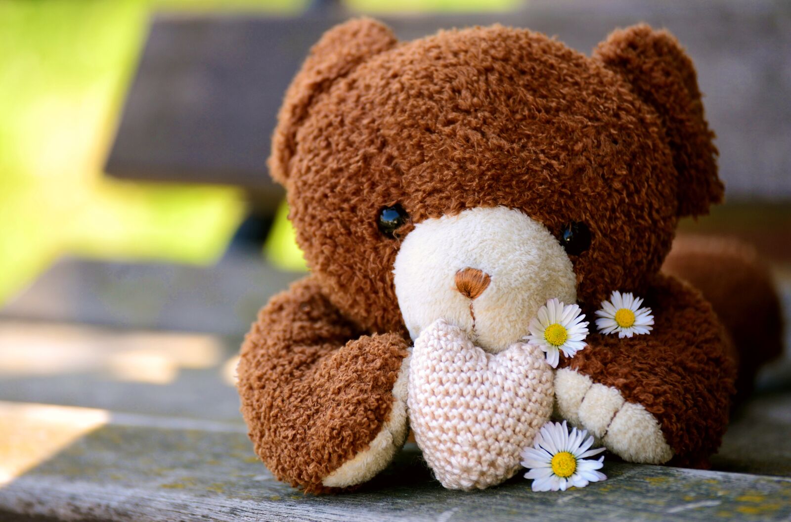 Nikon D610 sample photo. Teddy, teddy bear, stuffed photography