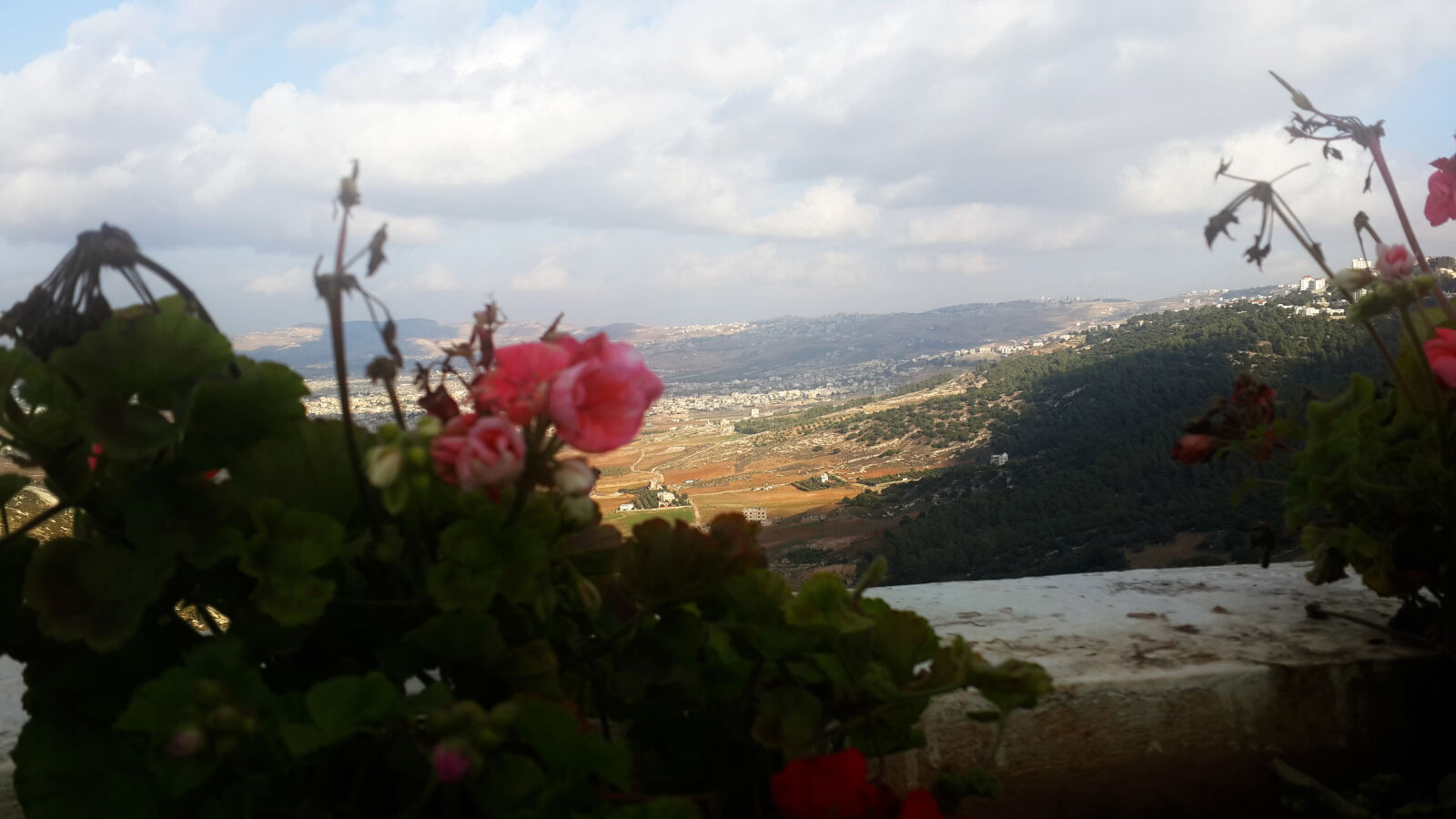 Samsung Galaxy S4 sample photo. Mountains, roses, sky photography