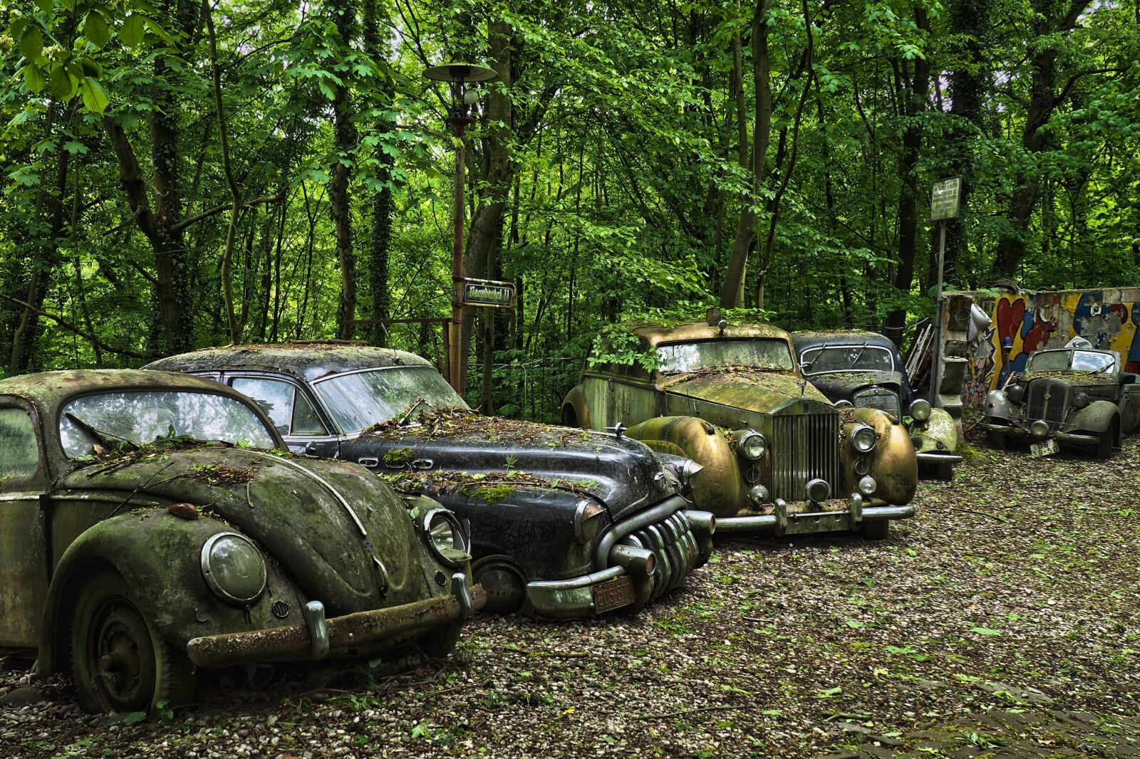 Olympus OM-D E-M10 sample photo. Auto, car cemetery, oldtimer photography