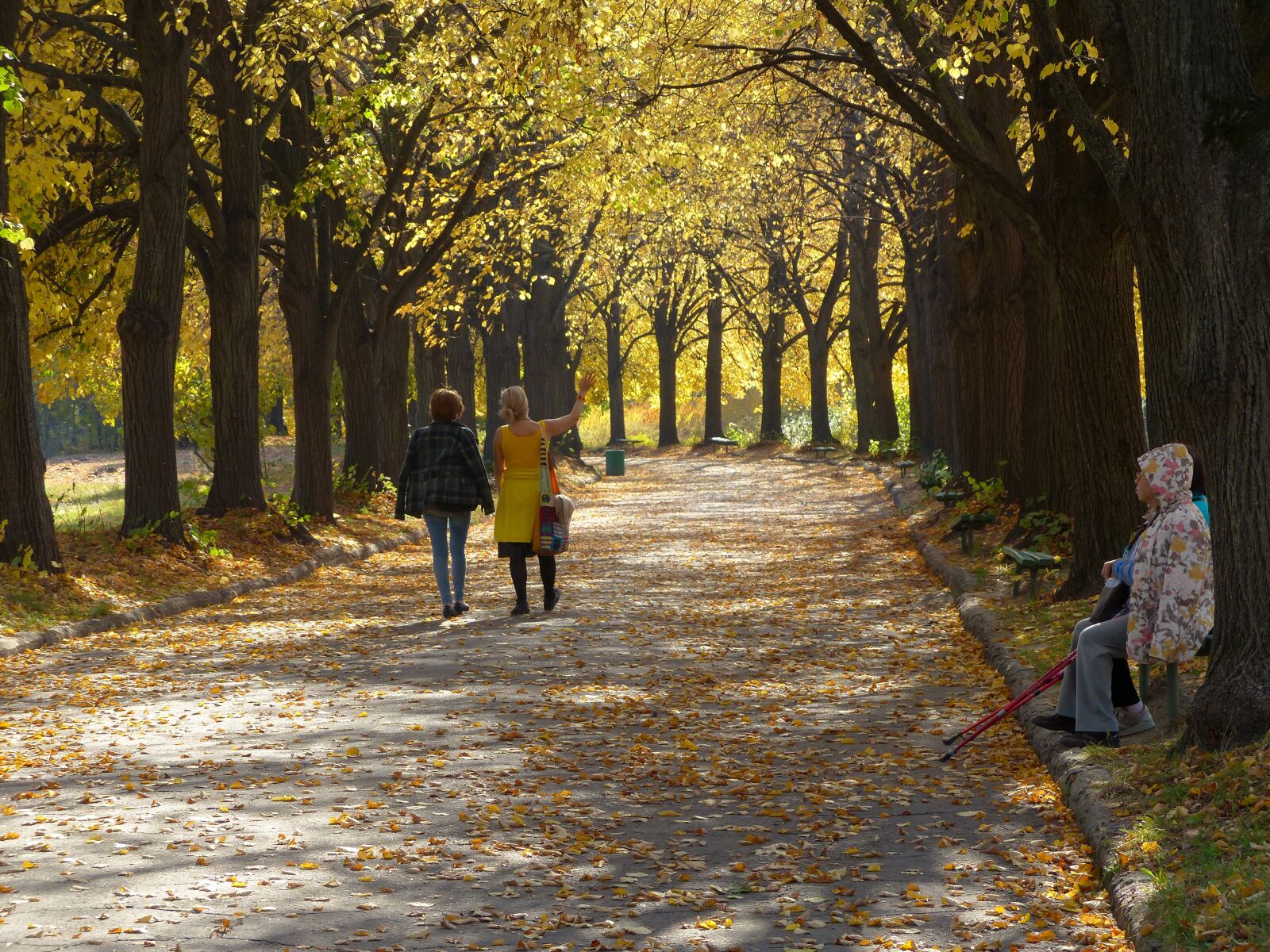Panasonic Lumix DMC-FZ200 sample photo. Autumn, golden autumn, people photography