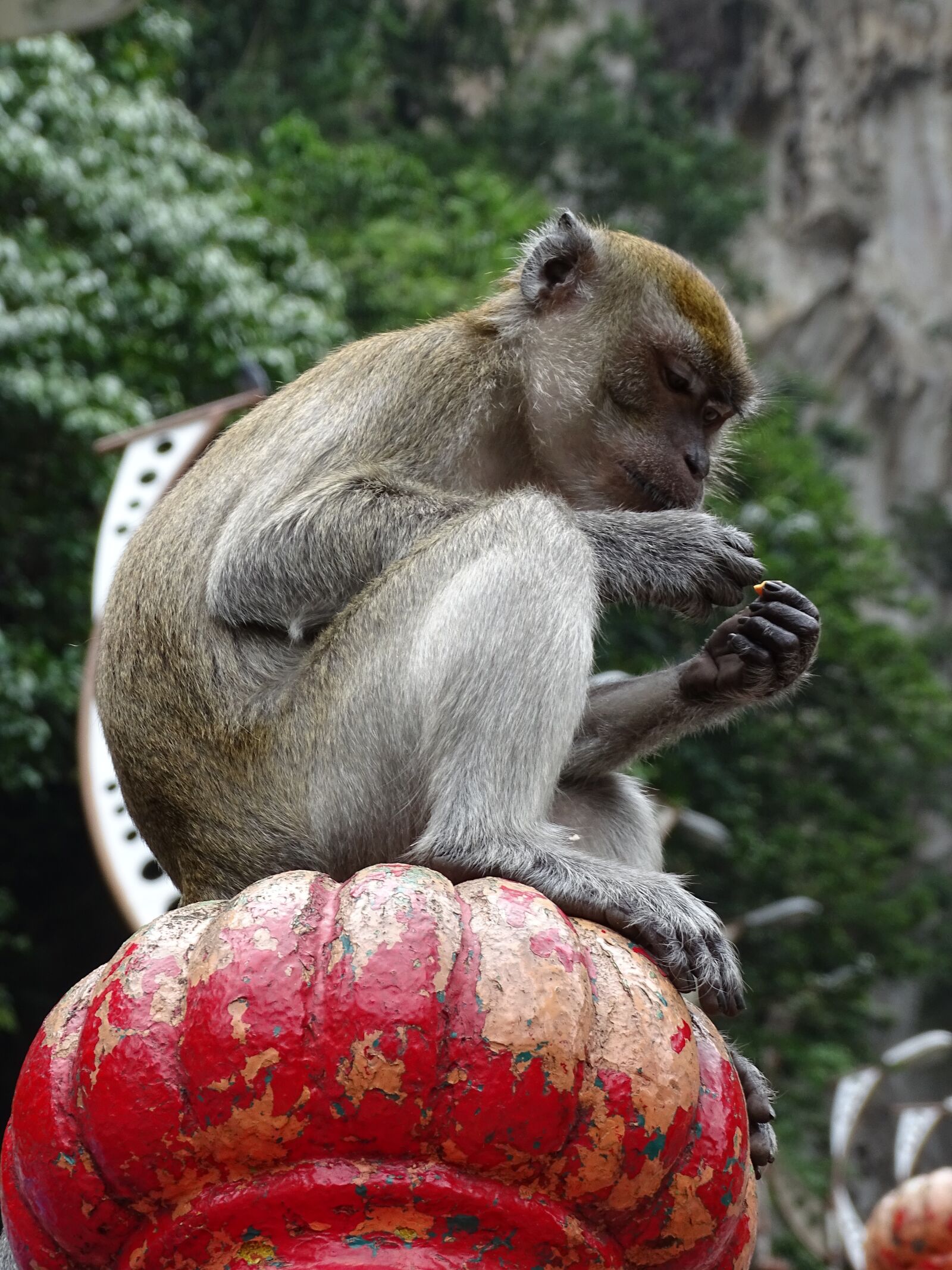 Sony Cyber-shot DSC-HX400V sample photo. Malaysia, batu caves, the photography