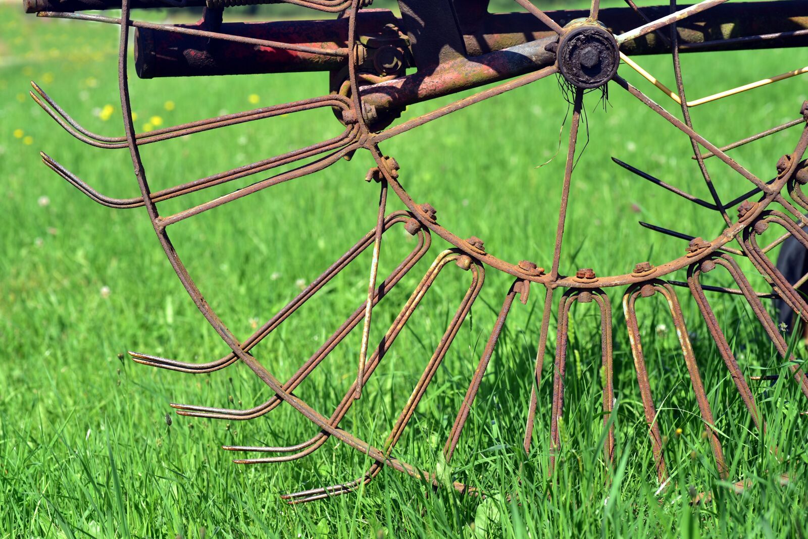 Nikon D750 sample photo. Hay tedders, agriculture, rural photography