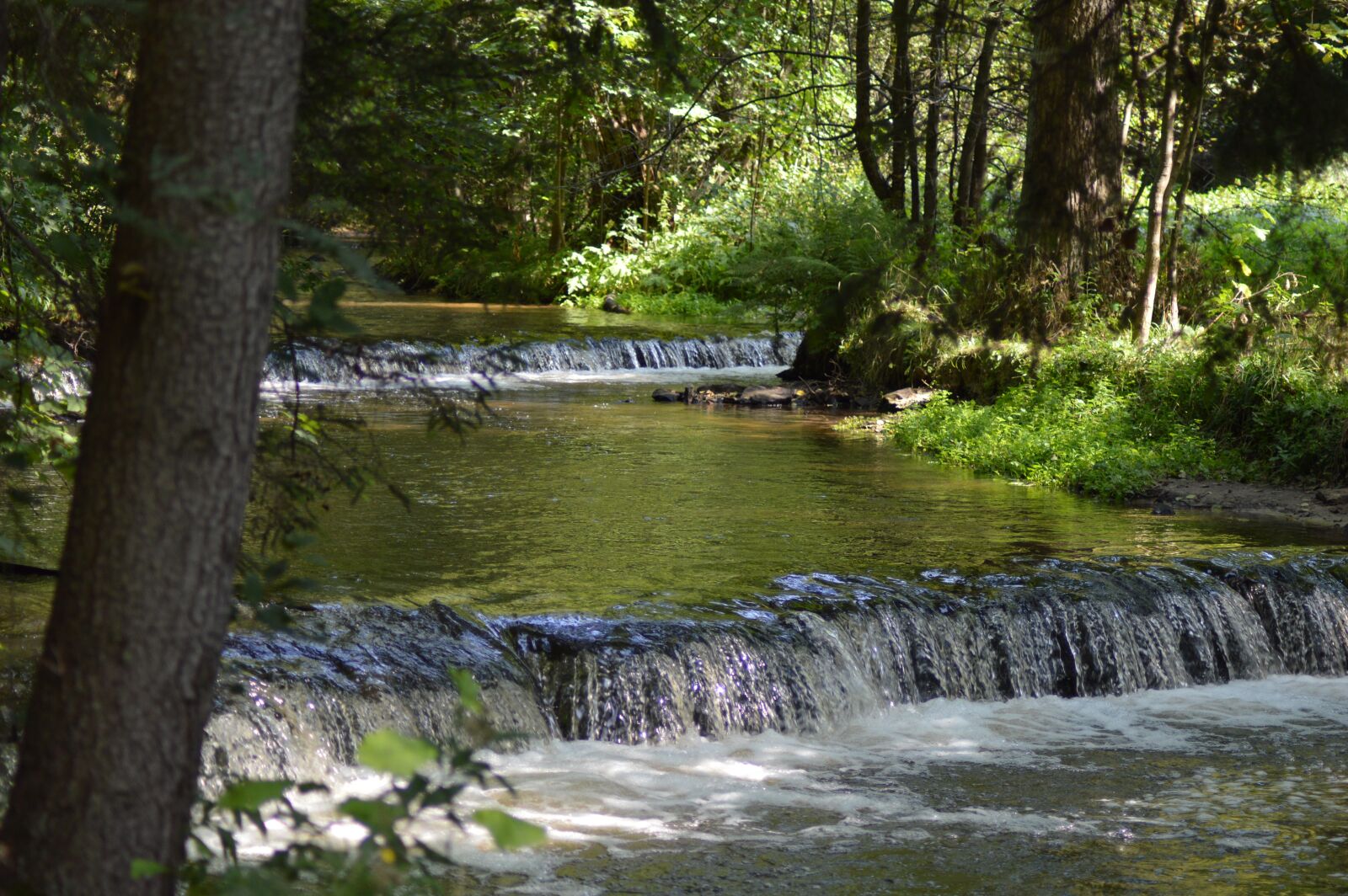 Nikon D3200 sample photo. Tanew, river, noise photography