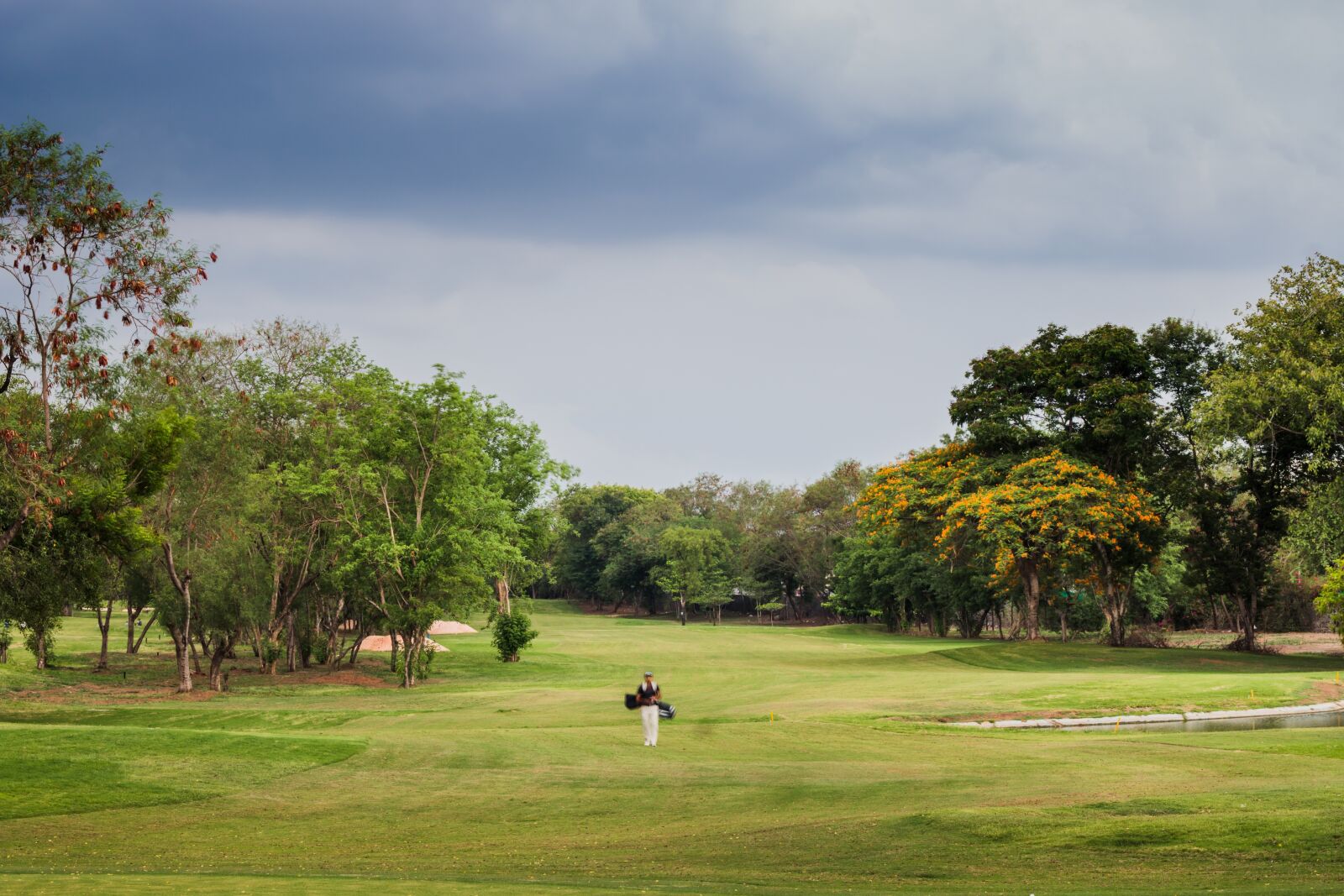 Canon EOS 70D + Canon EF 50mm F1.8 II sample photo. Golf, course, golfing photography