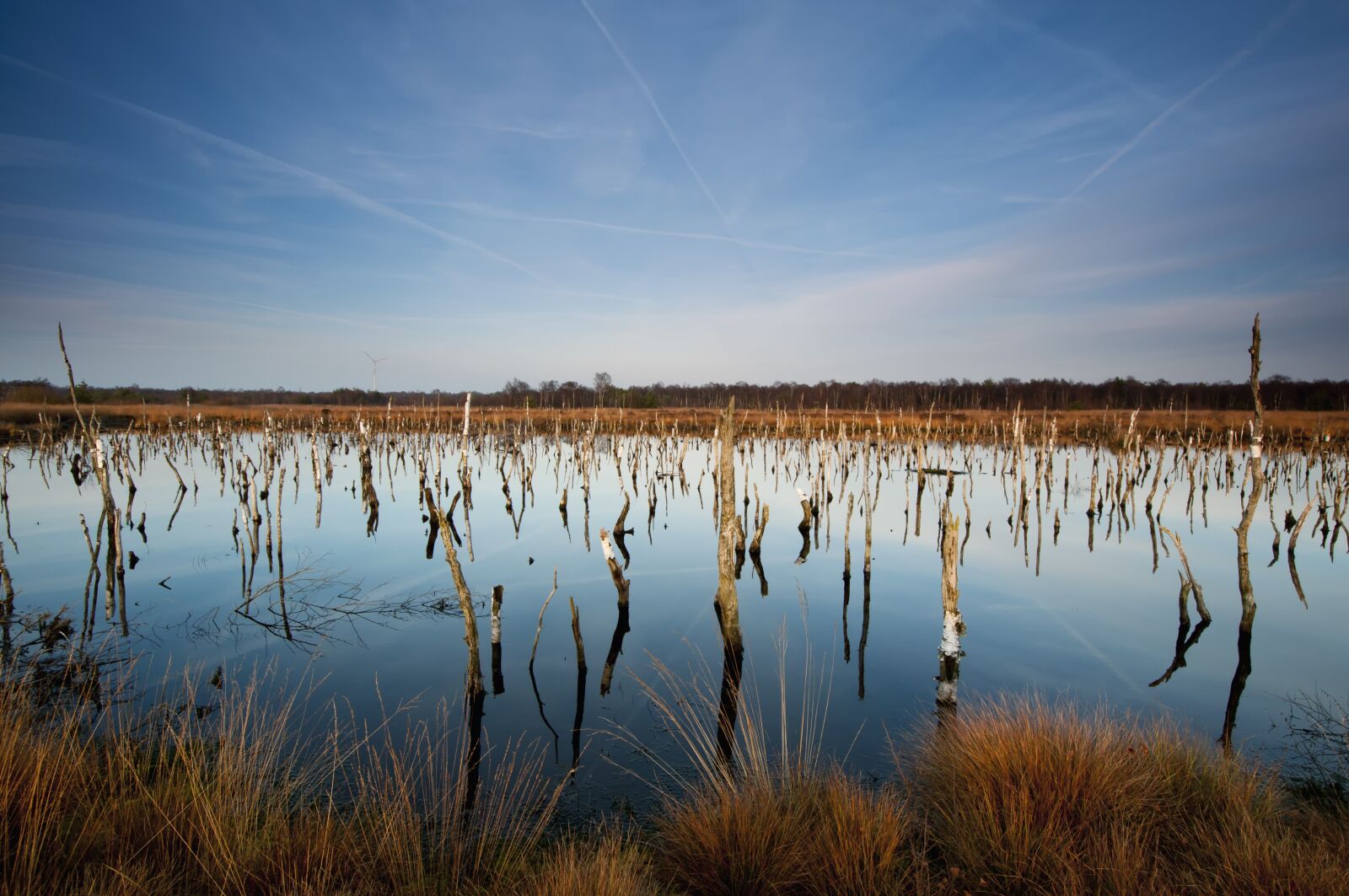Nikon D300S sample photo. Lake d mmer, moor photography