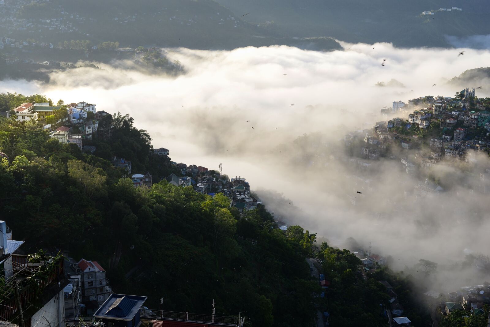 Nikon D610 sample photo. Landscape, city, morning photography