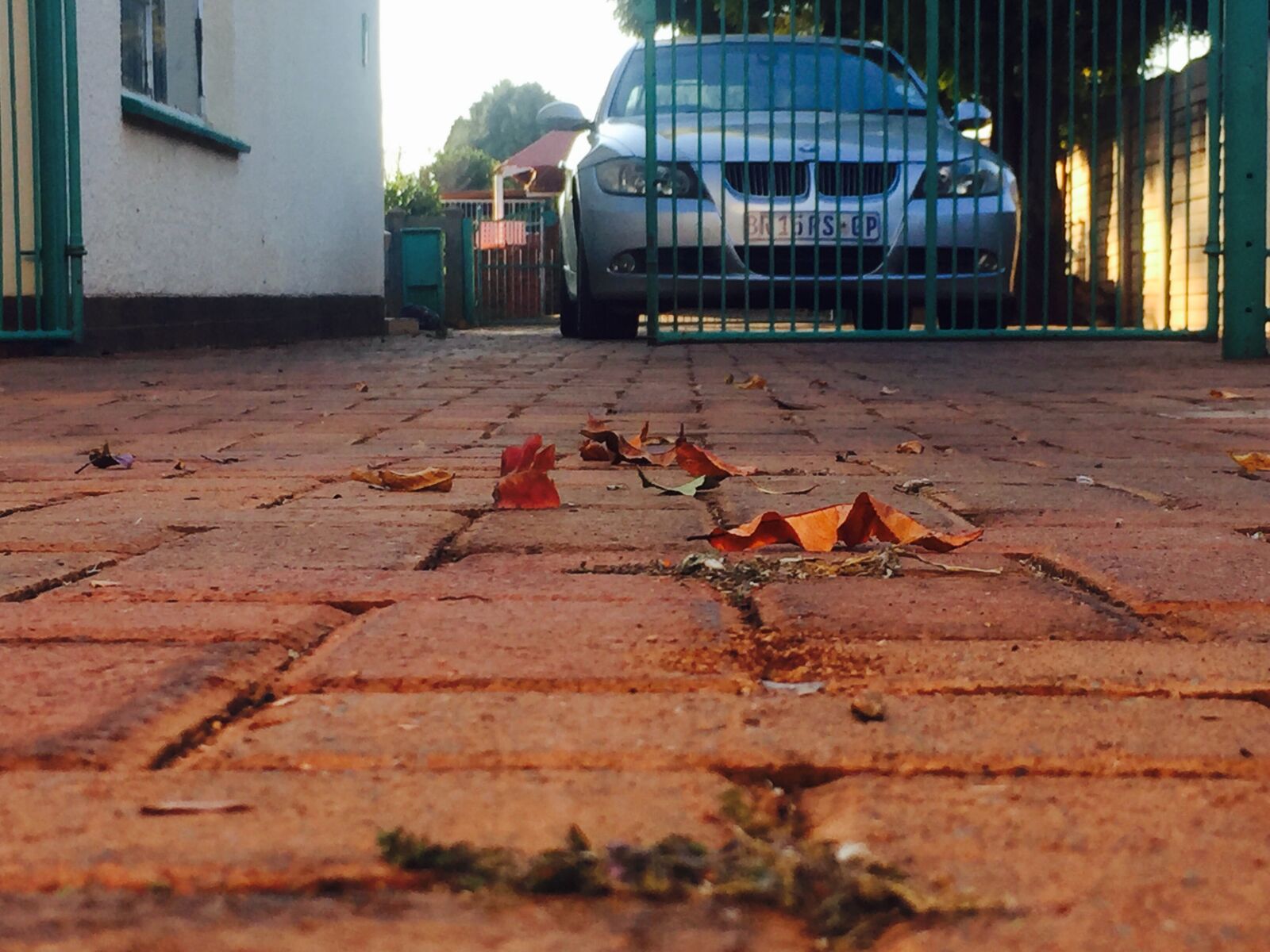 iPhone 6 back camera 4.15mm f/2.2 sample photo