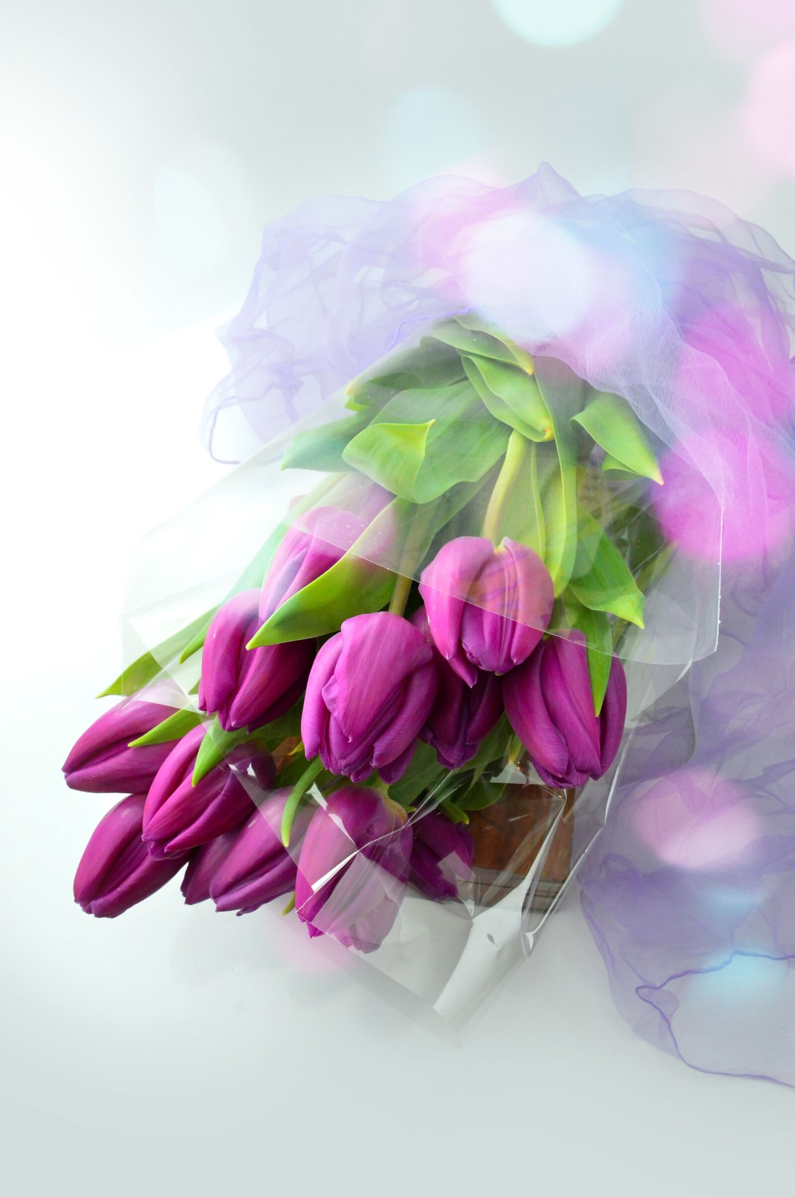 Nikon D3200 sample photo. Flower, plant, beautiful photography