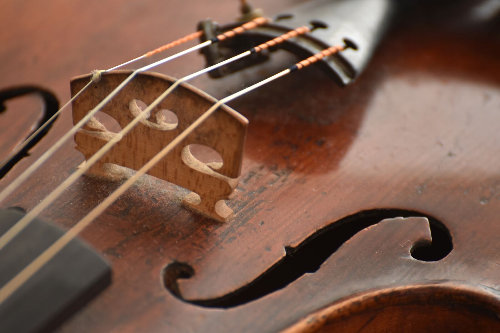 Nikon D5600 sample photo. Violin, wood, strings photography