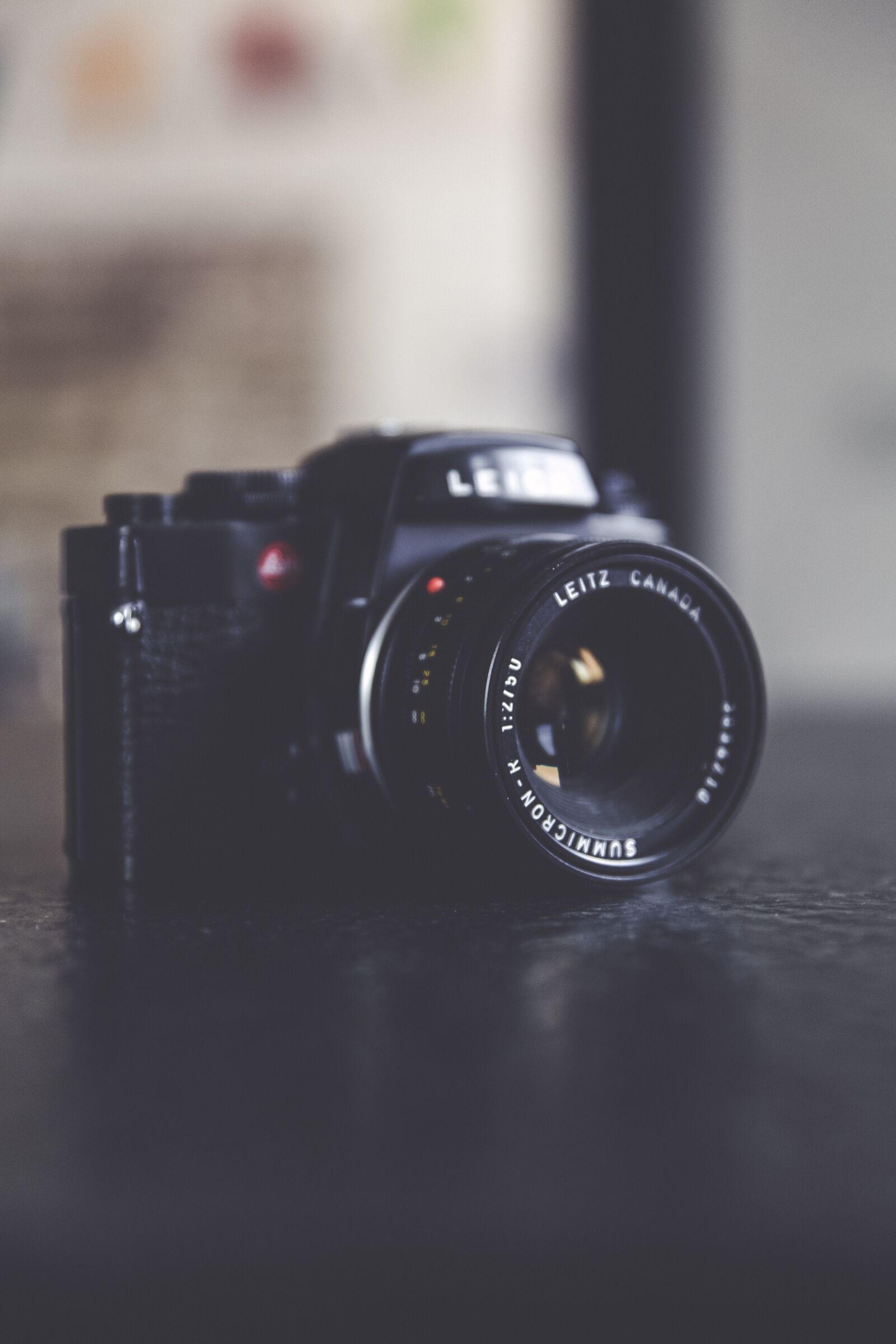 Canon EF 24-70mm F2.8L II USM sample photo. Analog, camera, retro photography