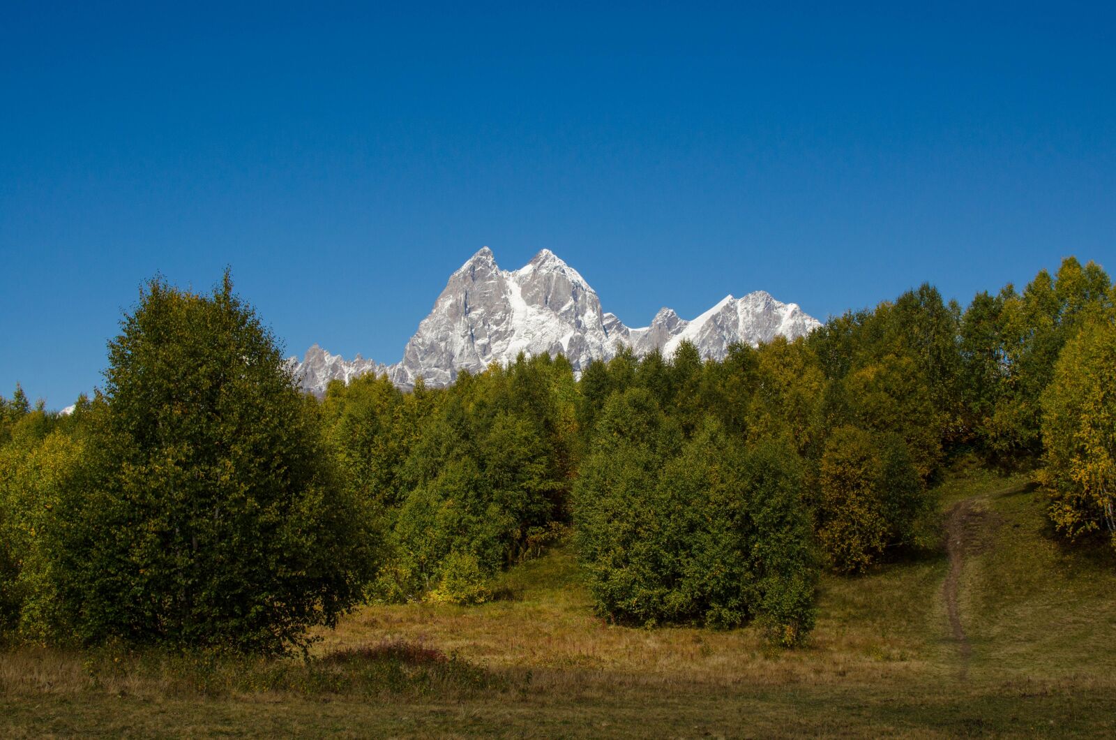 Nikon D5100 sample photo. Georgia, svaneti, autumn photography