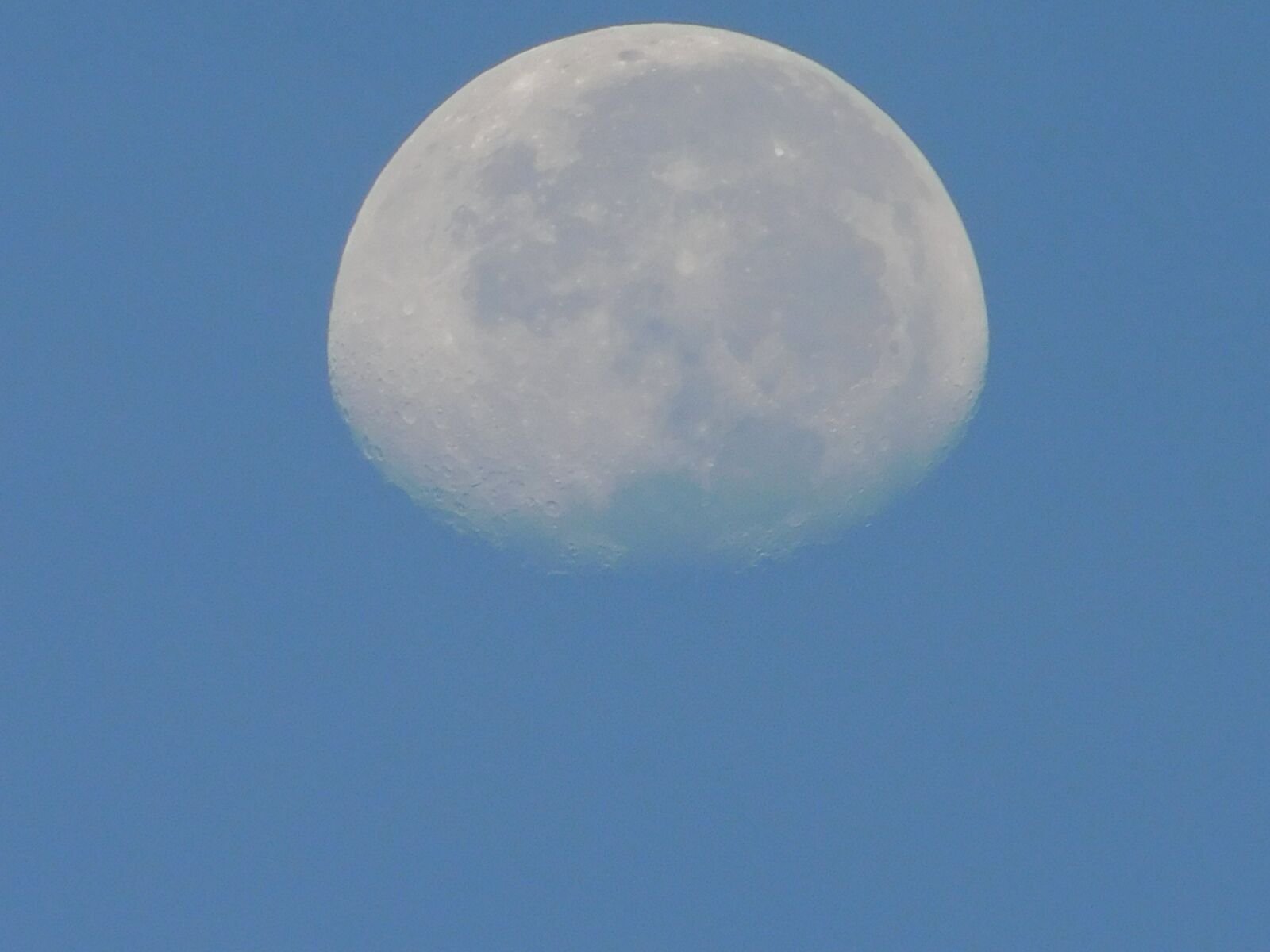 Nikon Coolpix L840 sample photo. Day moon, blue, sky photography