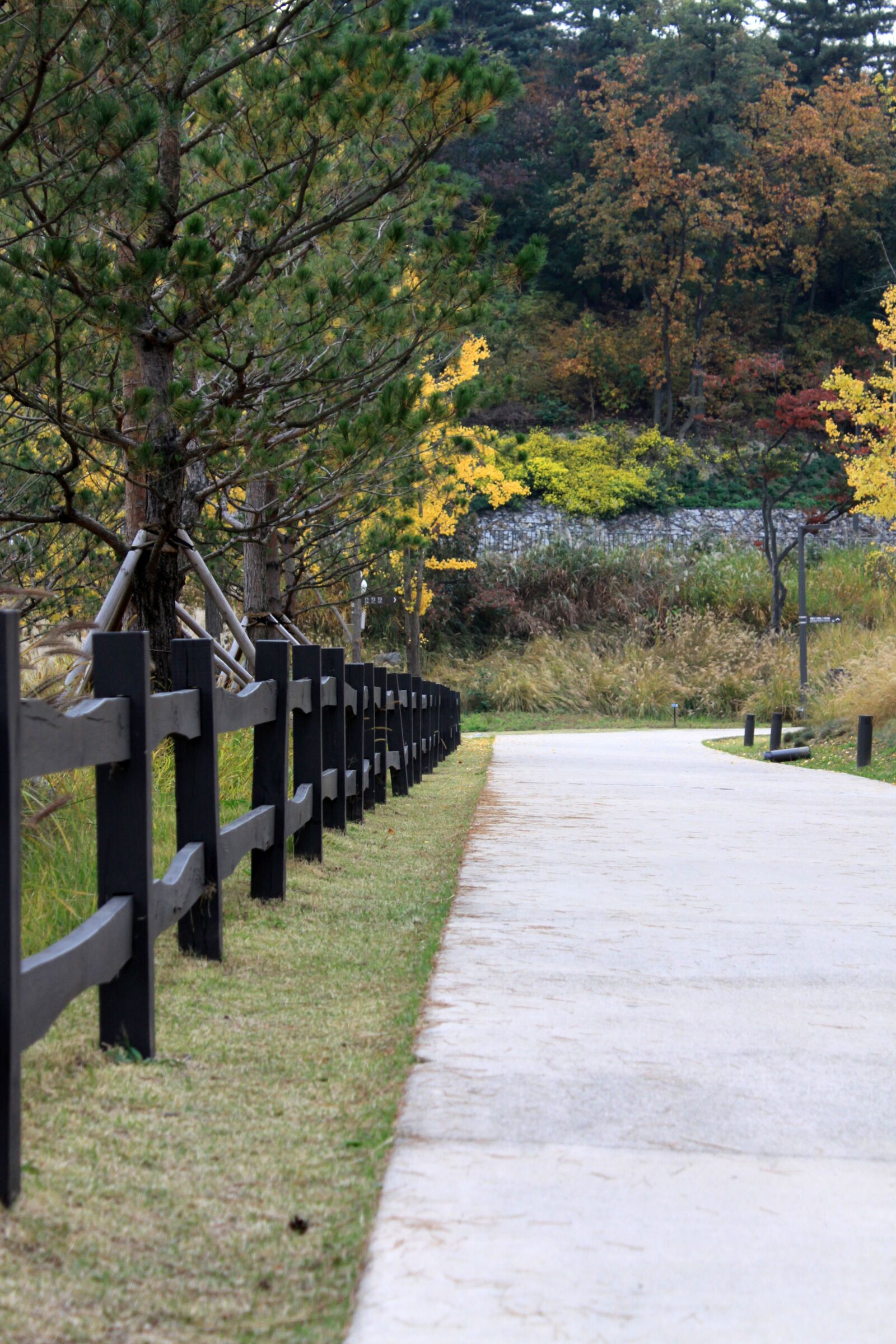 Canon EOS 50D sample photo. Park, road, walk photography
