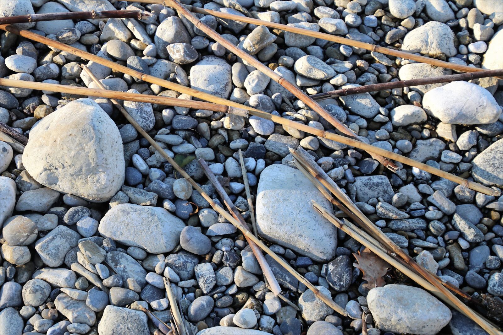 Canon EOS 80D sample photo. Rock, stone, nature photography