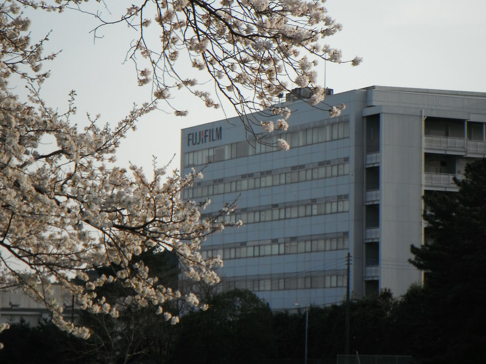FujiFilm Finepix Z90 (Finepix Z91) sample photo. Fujifilm chemical building, fujinomiya, 2025 photography