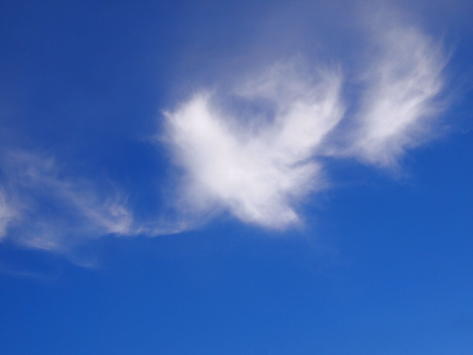 Olympus PEN E-PL1s sample photo. Blue sky, cloud, mabori photography
