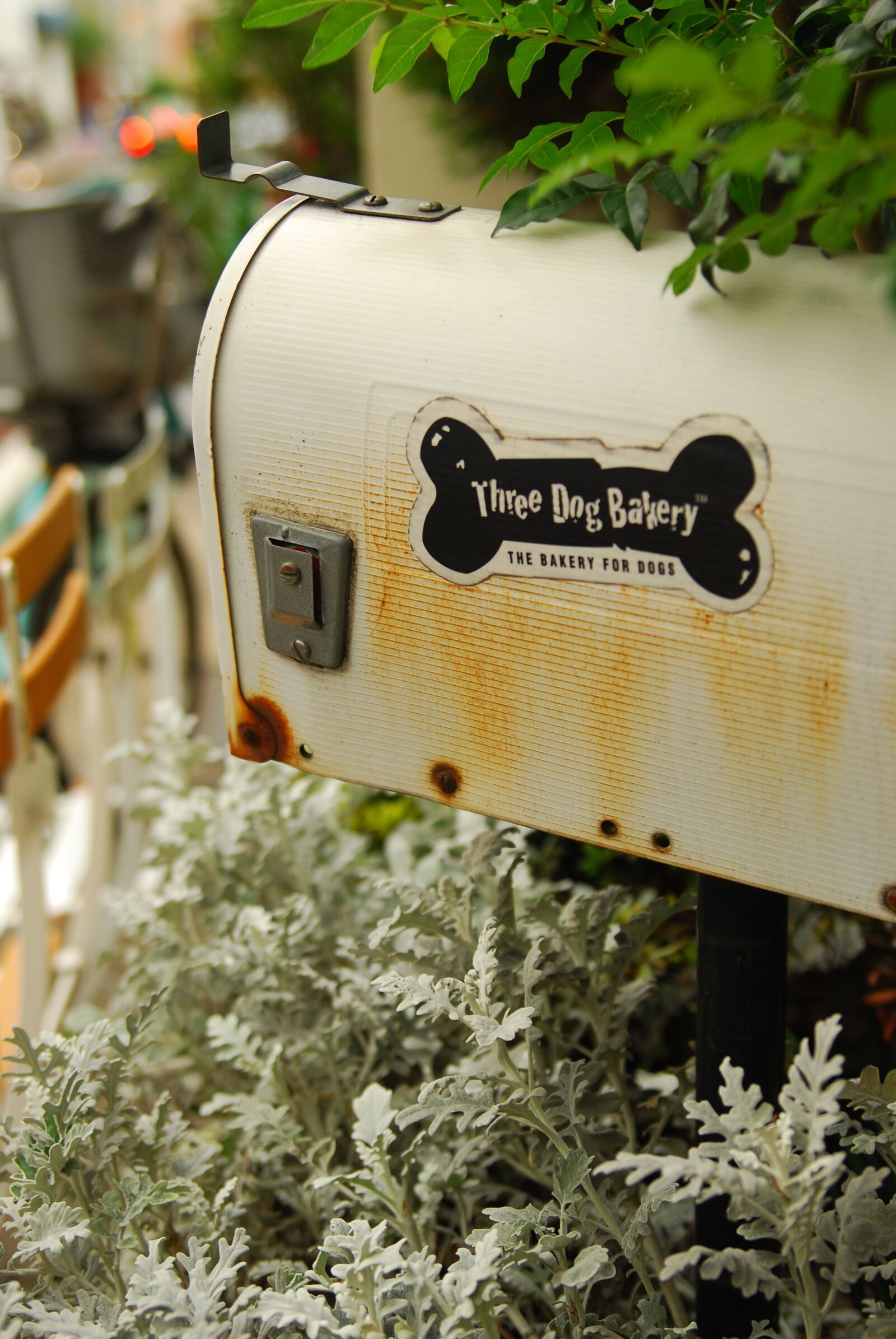 Nikon D80 sample photo. Mail box, white, bone photography