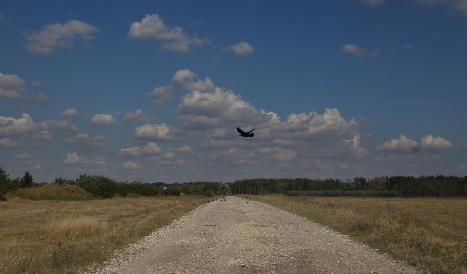 Canon EOS 700D (EOS Rebel T5i / EOS Kiss X7i) sample photo. Landscape, road, cloud photography