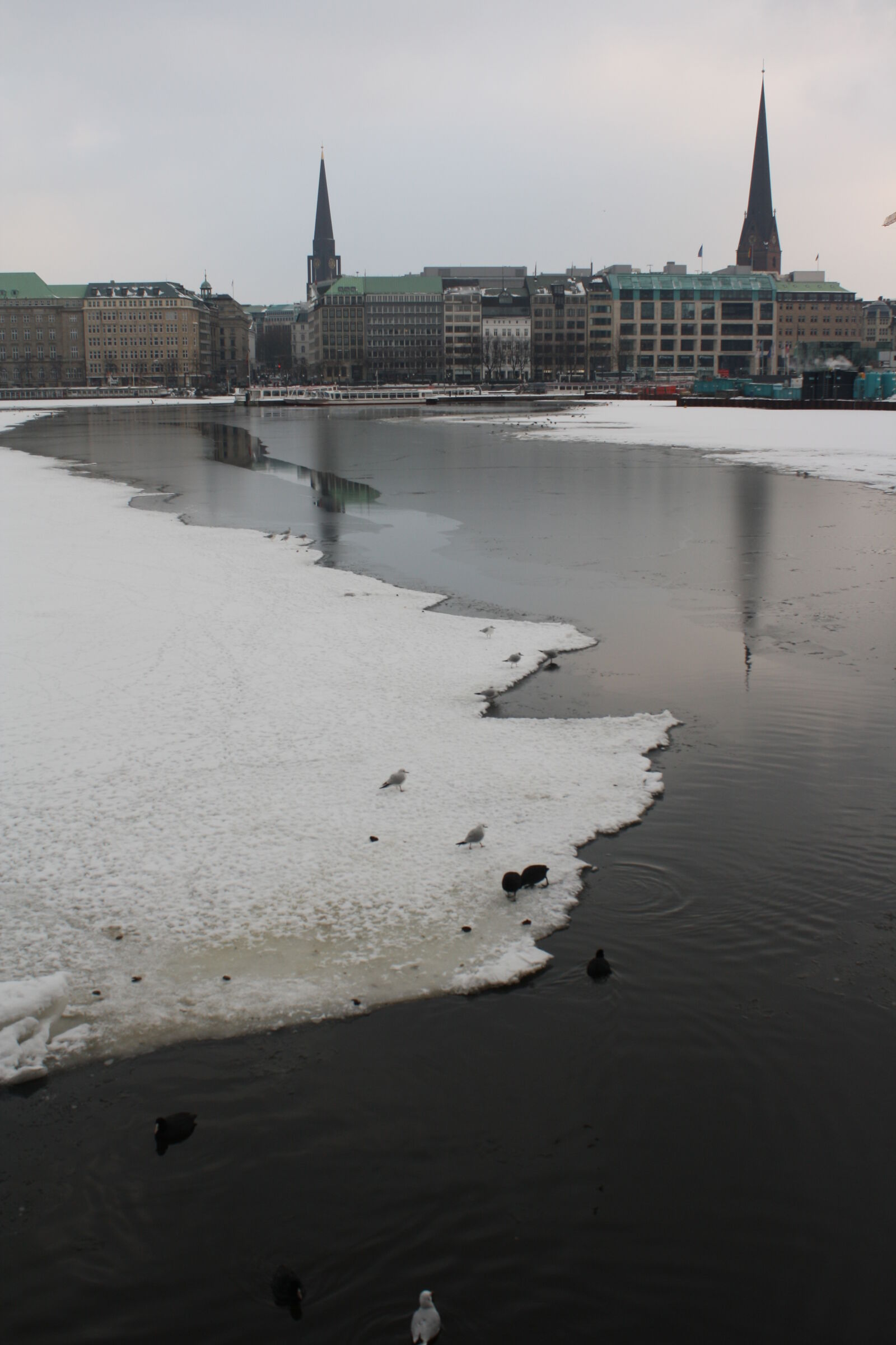 Canon EOS 1000D (EOS Digital Rebel XS / EOS Kiss F) sample photo. Alster, frozen, germany, hamburg photography
