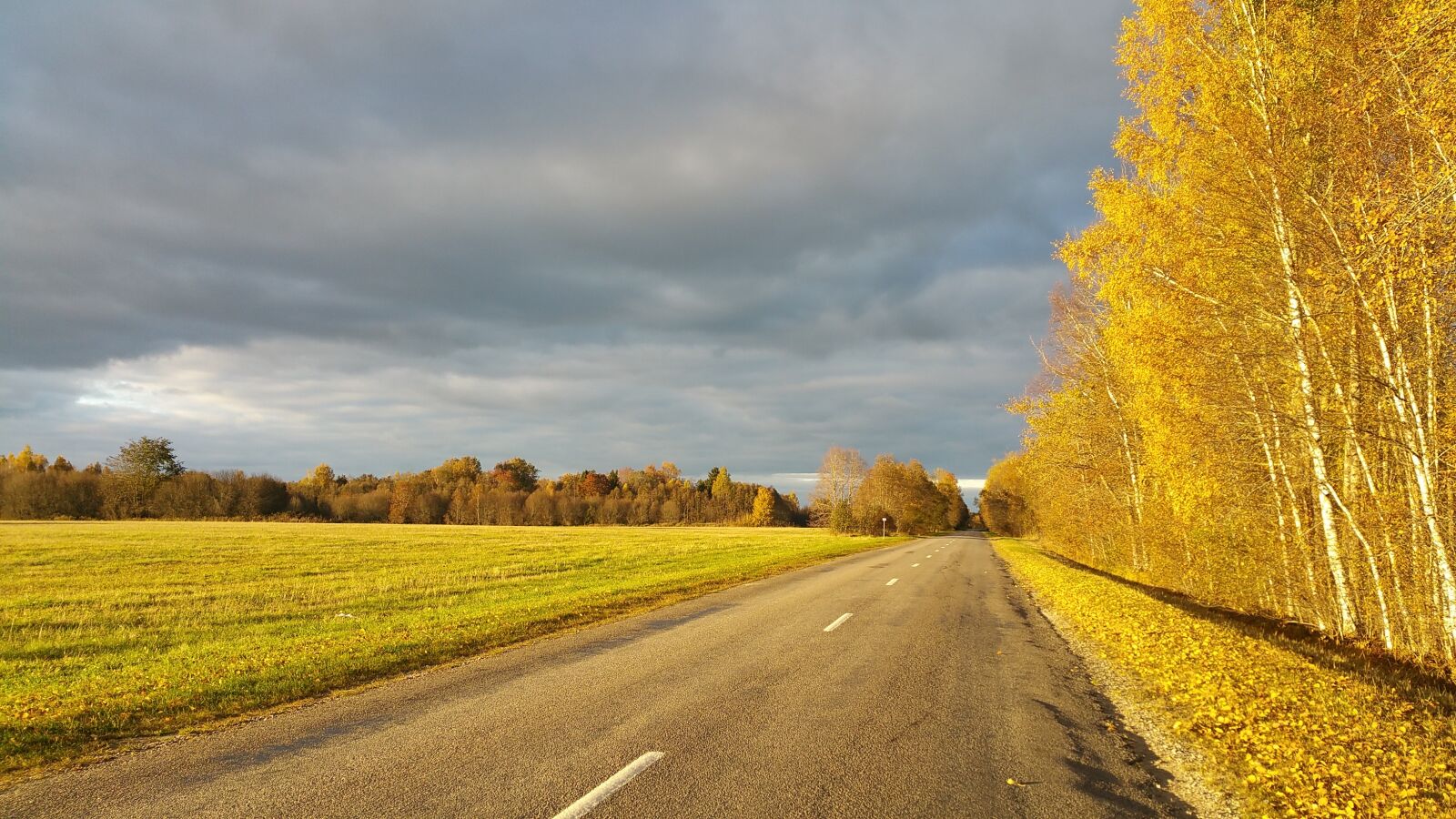 Samsung Galaxy Note4 sample photo. Fall, autumn, golden photography
