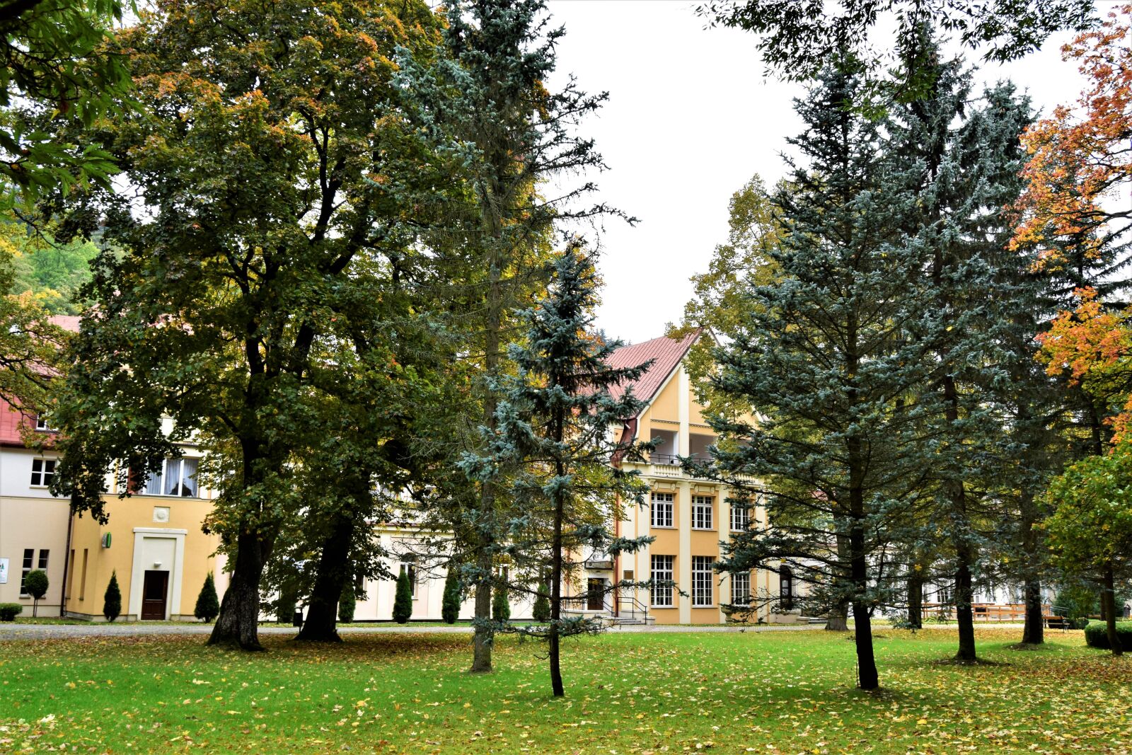 Nikon D3300 sample photo. Autumn, park, landmark photography