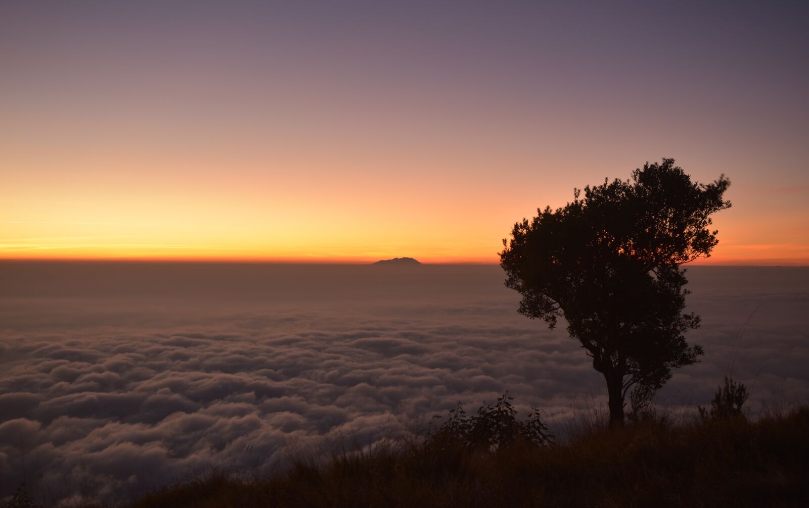 Nikon D3400 sample photo. Silhouette, sunrise, dawn photography