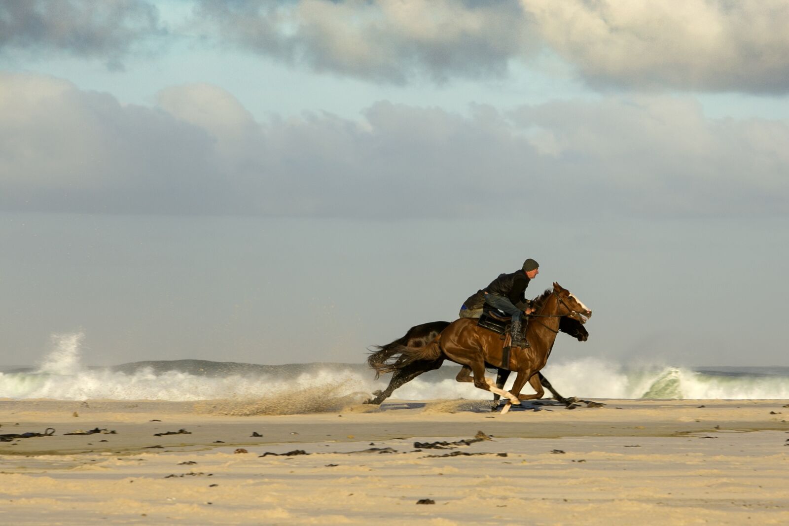 Canon EOS 6D + Canon EF 70-200mm F2.8L IS USM sample photo. Horses, beach, racing photography