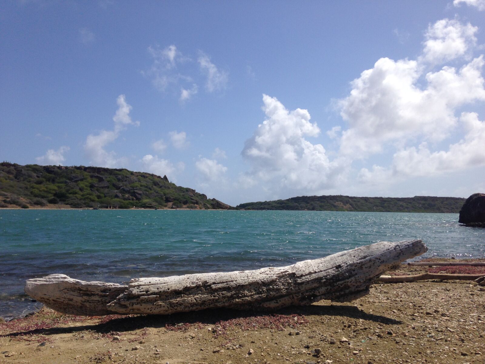 iPhone 5 back camera 4.12mm f/2.4 sample photo. Beach, curacao, drift, sea photography