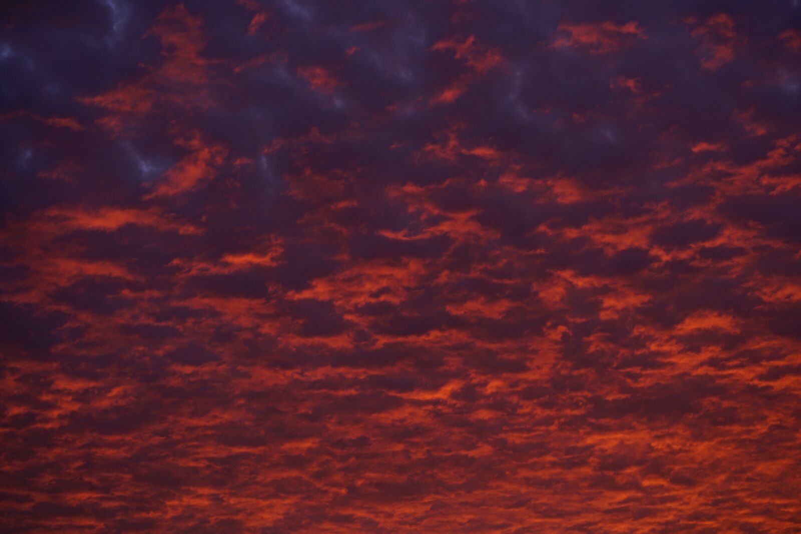 Sony a7R II + Sony FE 90mm F2.8 Macro G OSS sample photo. Cloudscape, clouds, sky photography