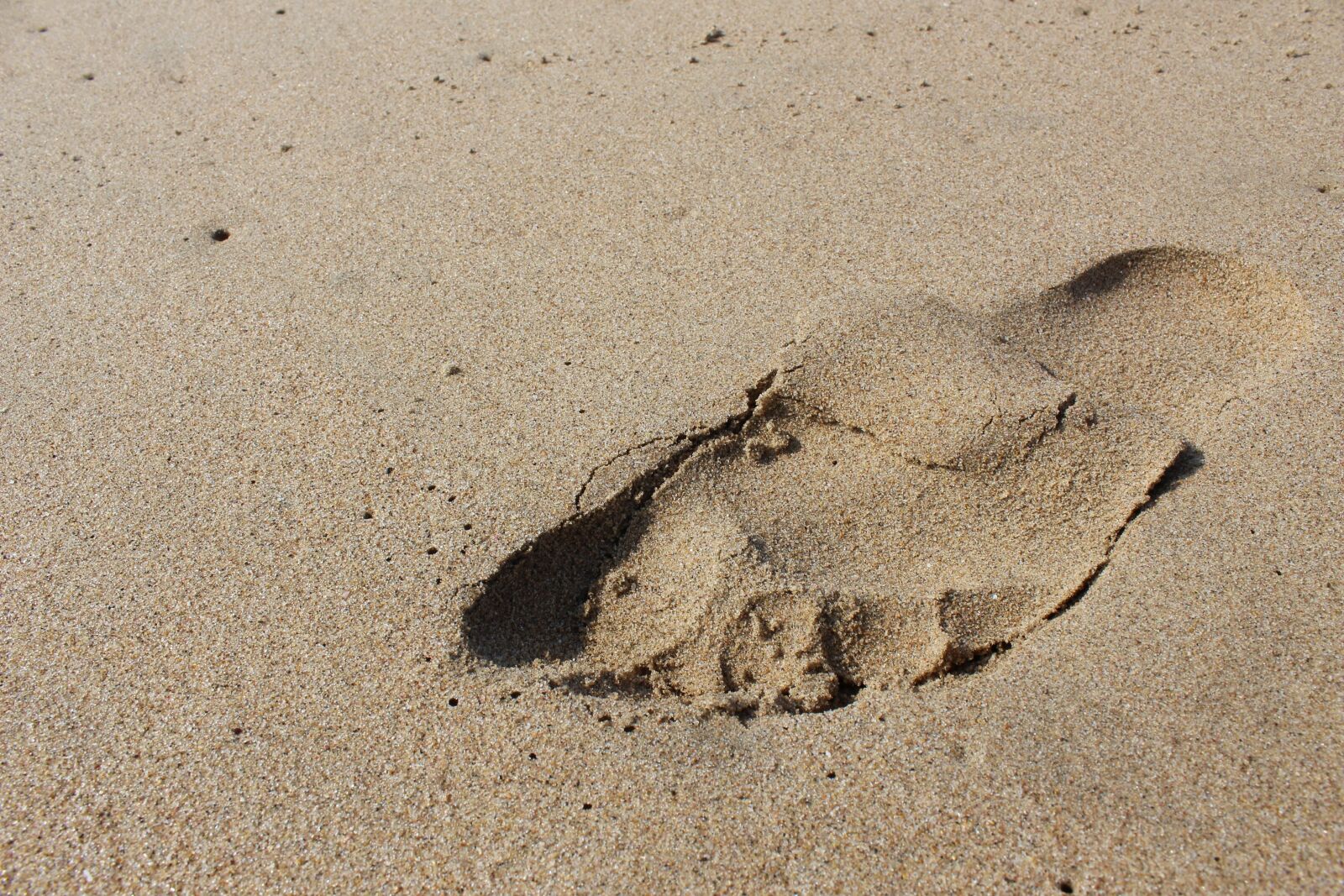 Canon EOS 100D (EOS Rebel SL1 / EOS Kiss X7) sample photo. Footprint, sand, ocean photography