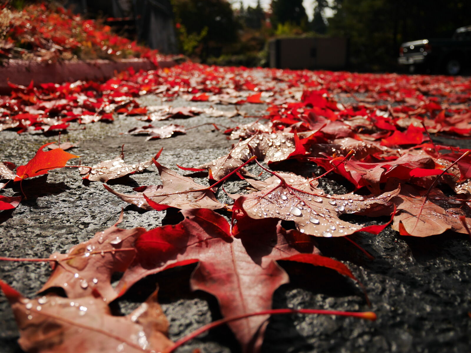 Panasonic Lumix G Vario HD 12-32mm F3.5-5.6 Mega OIS sample photo