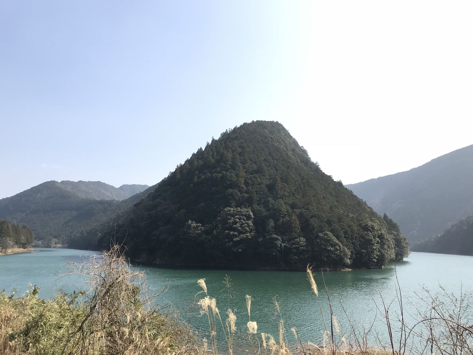 iPhone 7 back camera 3.99mm f/1.8 sample photo. River, wood, mountain photography