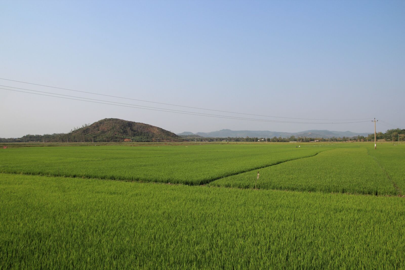 Tamron SP AF 17-50mm F2.8 XR Di II LD Aspherical (IF) sample photo. Vietnam, asia, field photography