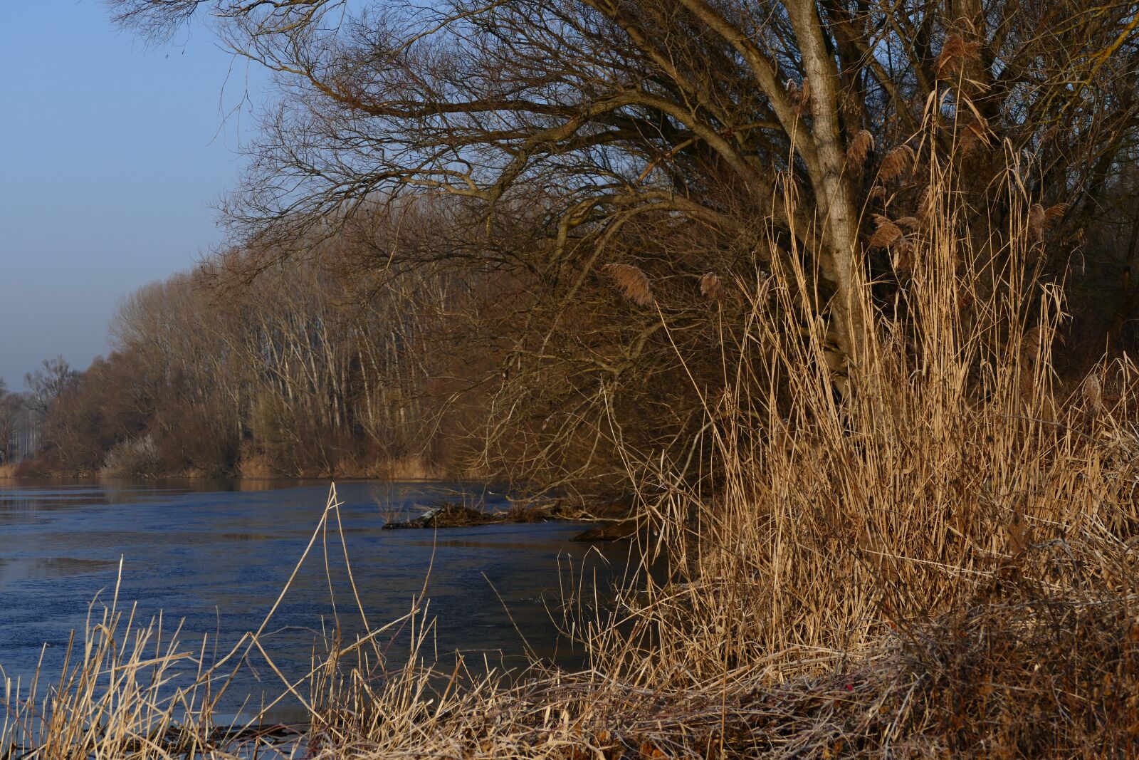Panasonic Lumix DMC-FZ1000 sample photo. Winter, nature, shore photography