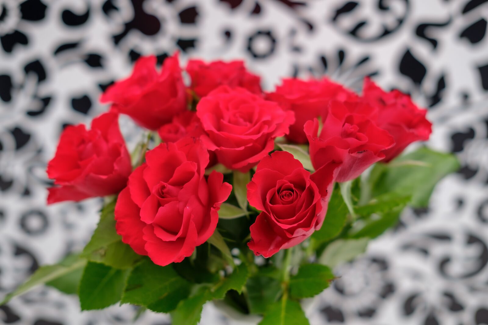 Fujifilm X-T2 + Fujifilm XF 35mm F2 R WR sample photo. Roses, bouquet of roses photography