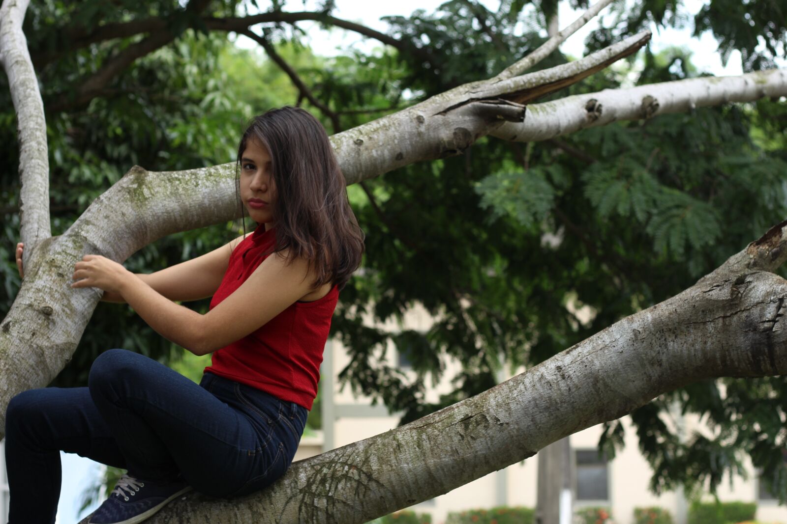 Canon EOS 700D (EOS Rebel T5i / EOS Kiss X7i) sample photo. Nature, tree, beautiful photography