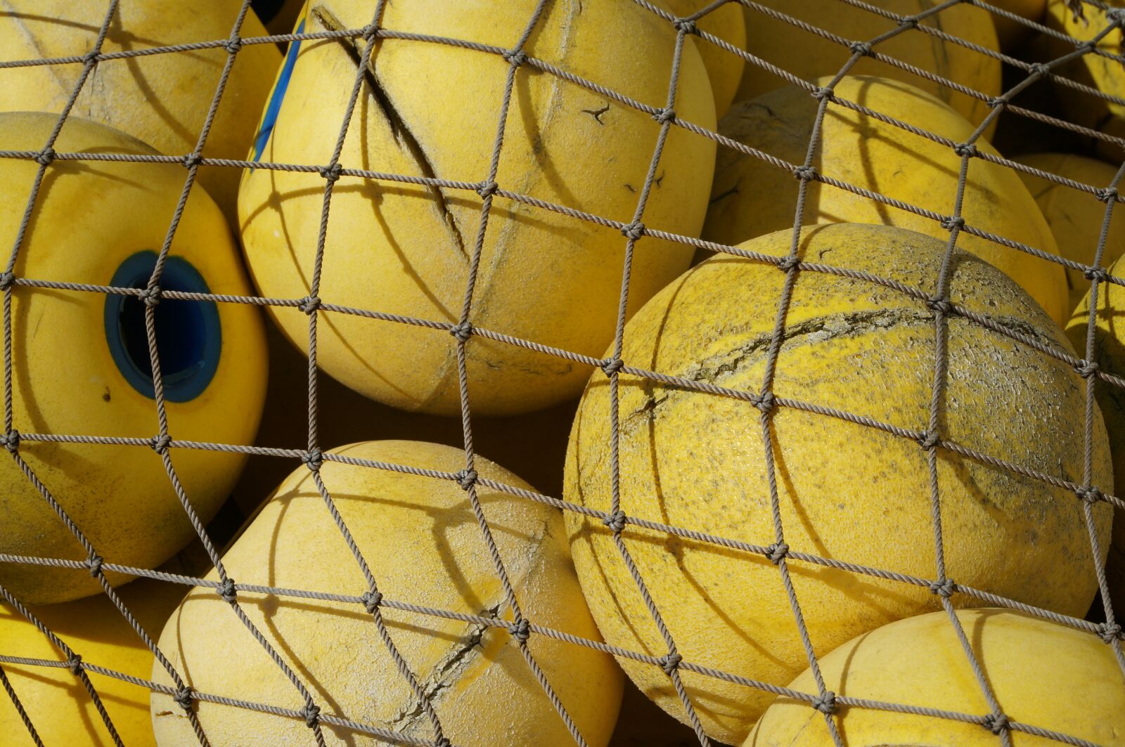 Sony Alpha NEX-6 + Sony E PZ 18-105mm F4 G OSS sample photo. Yellow, net, float photography