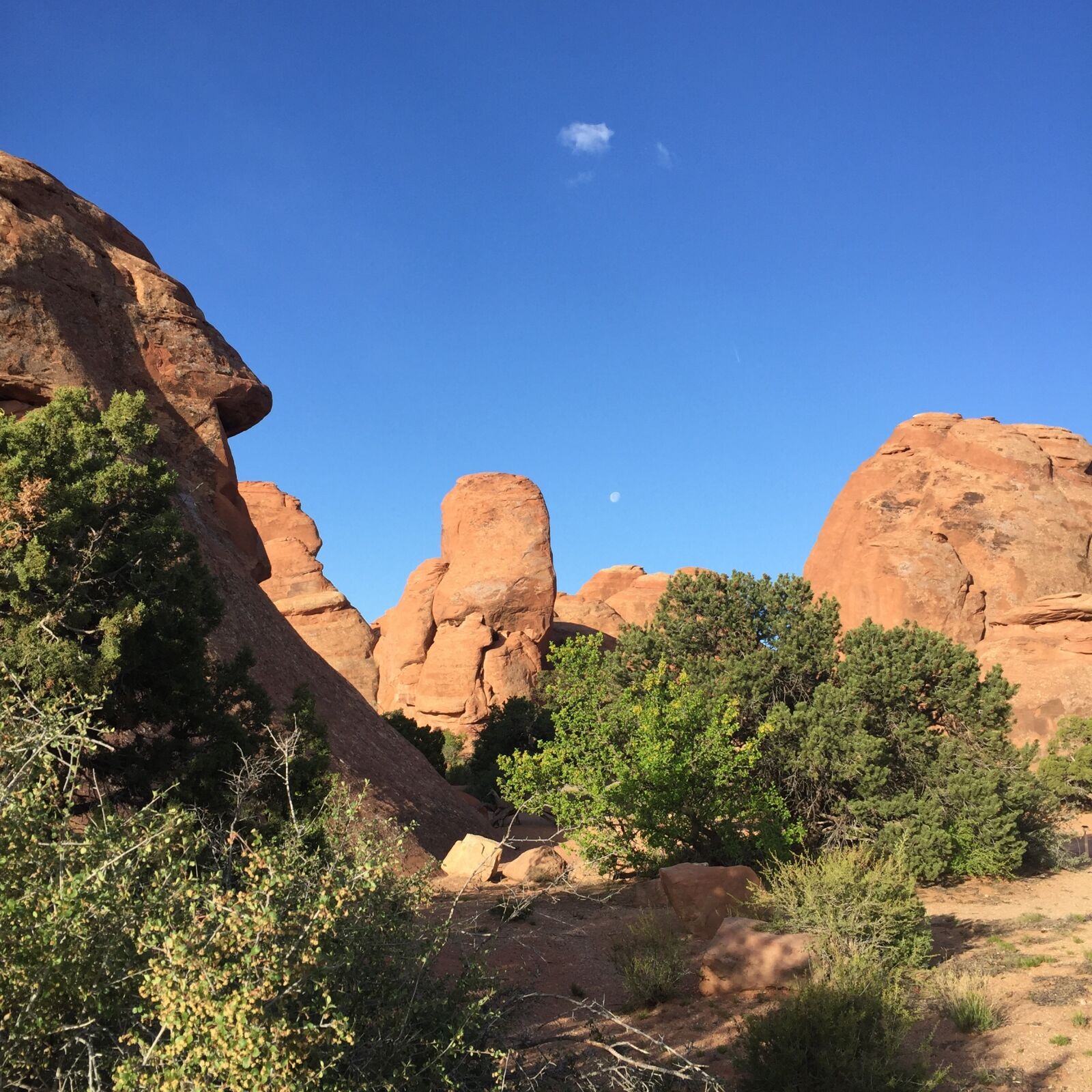 Apple iPhone 6 sample photo. Sky, moon, nature photography