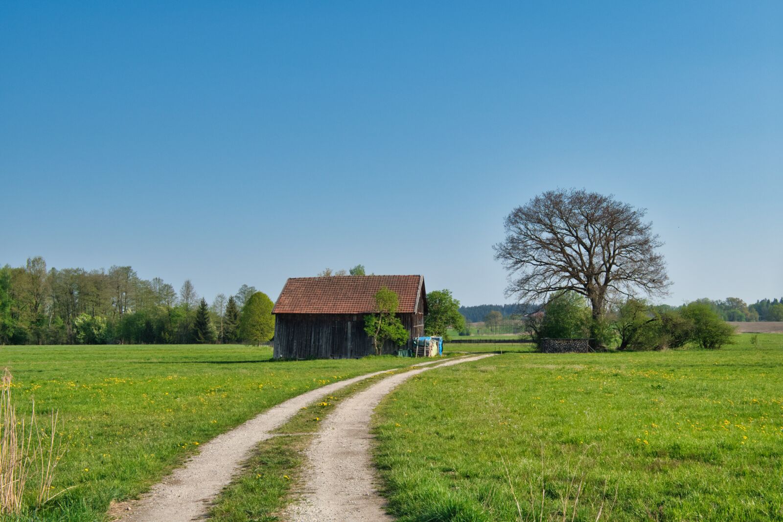 Nikon D7500 sample photo. Landscape, field, meadow photography