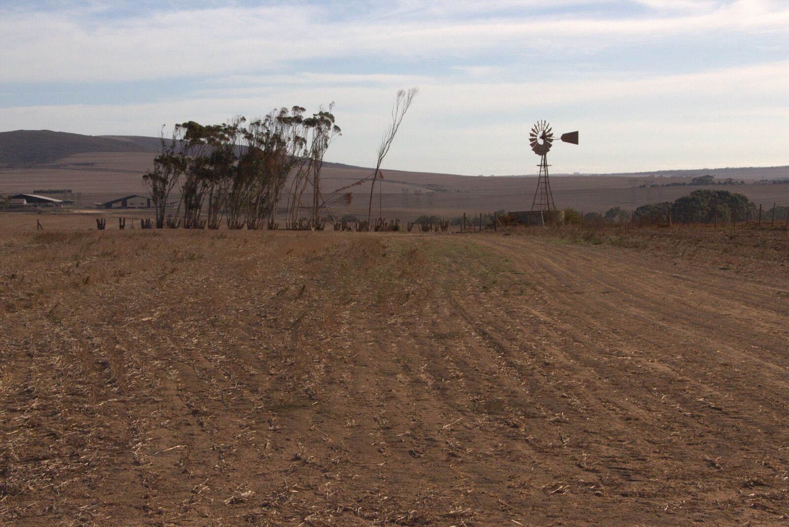 Canon EOS 700D (EOS Rebel T5i / EOS Kiss X7i) sample photo. Arid landscape, trees, windmill photography