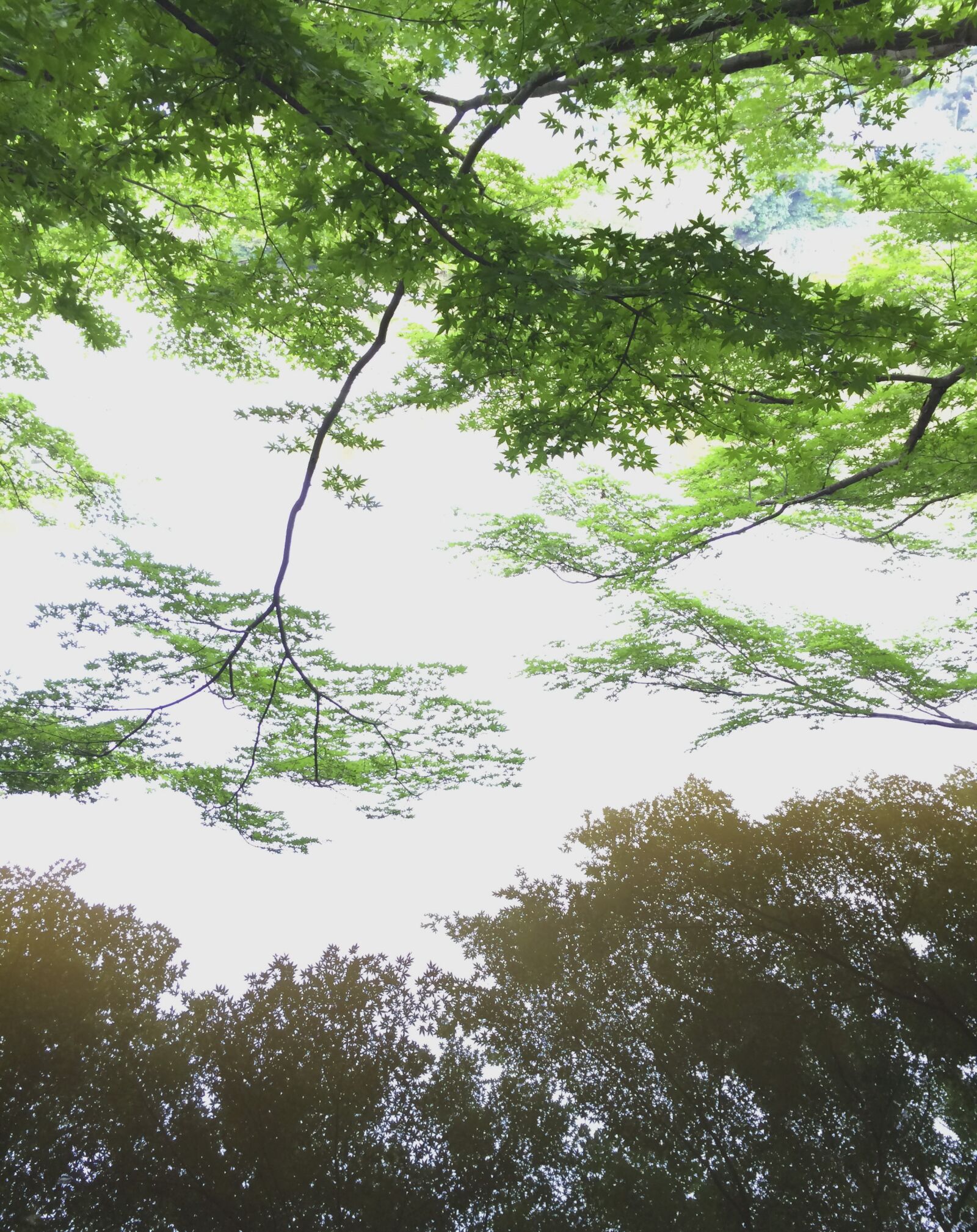 iPhone 5s back camera 4.12mm f/2.2 sample photo. Lake, landscape, nature photography