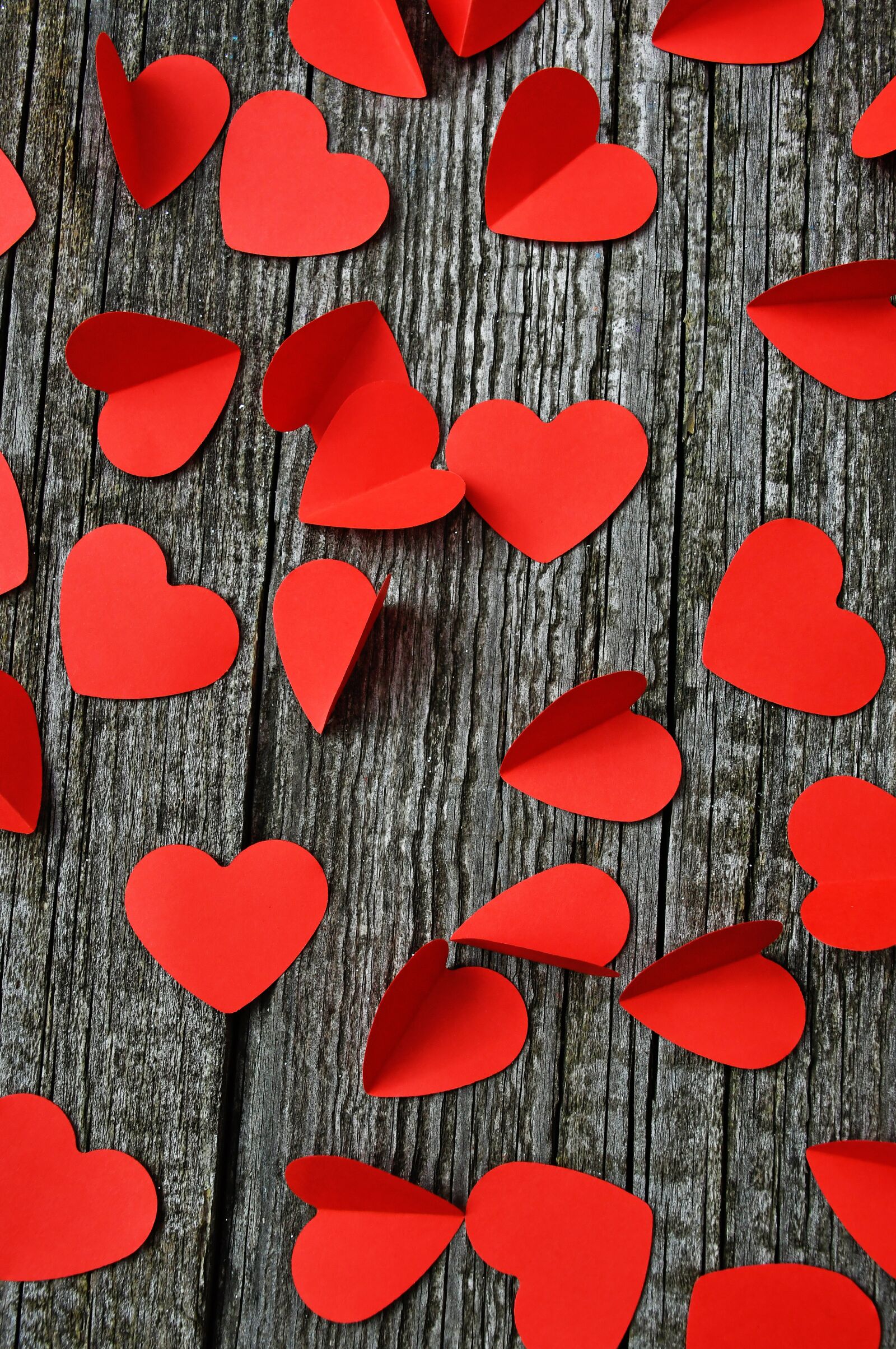 Nikon D3200 sample photo. Rose, valentine's, valentine's day photography