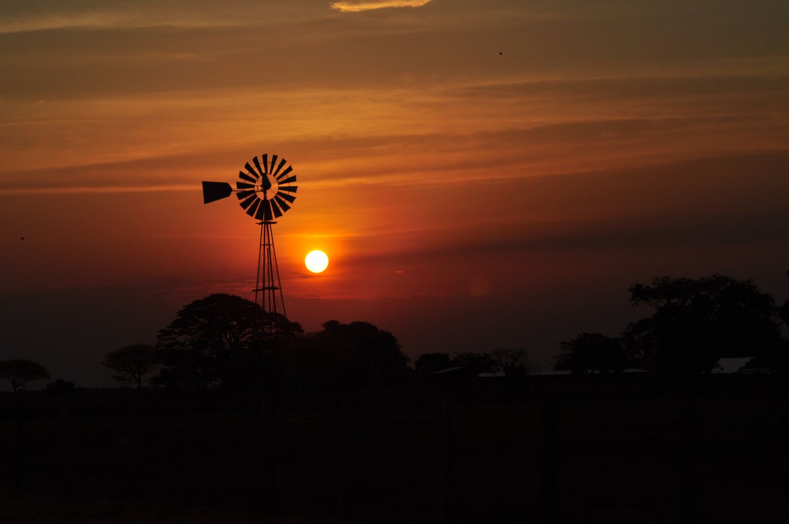 Nikon D5000 sample photo. Los llanos, sunset, dusk photography