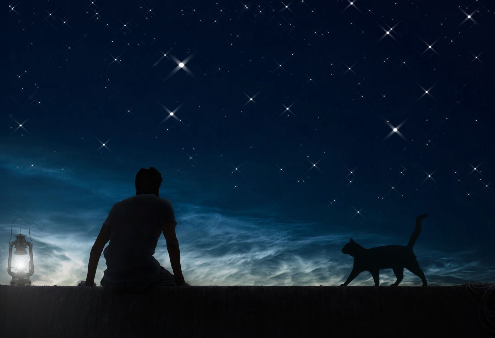 Nikon D7100 sample photo. Daydreamer, night sky, stars photography