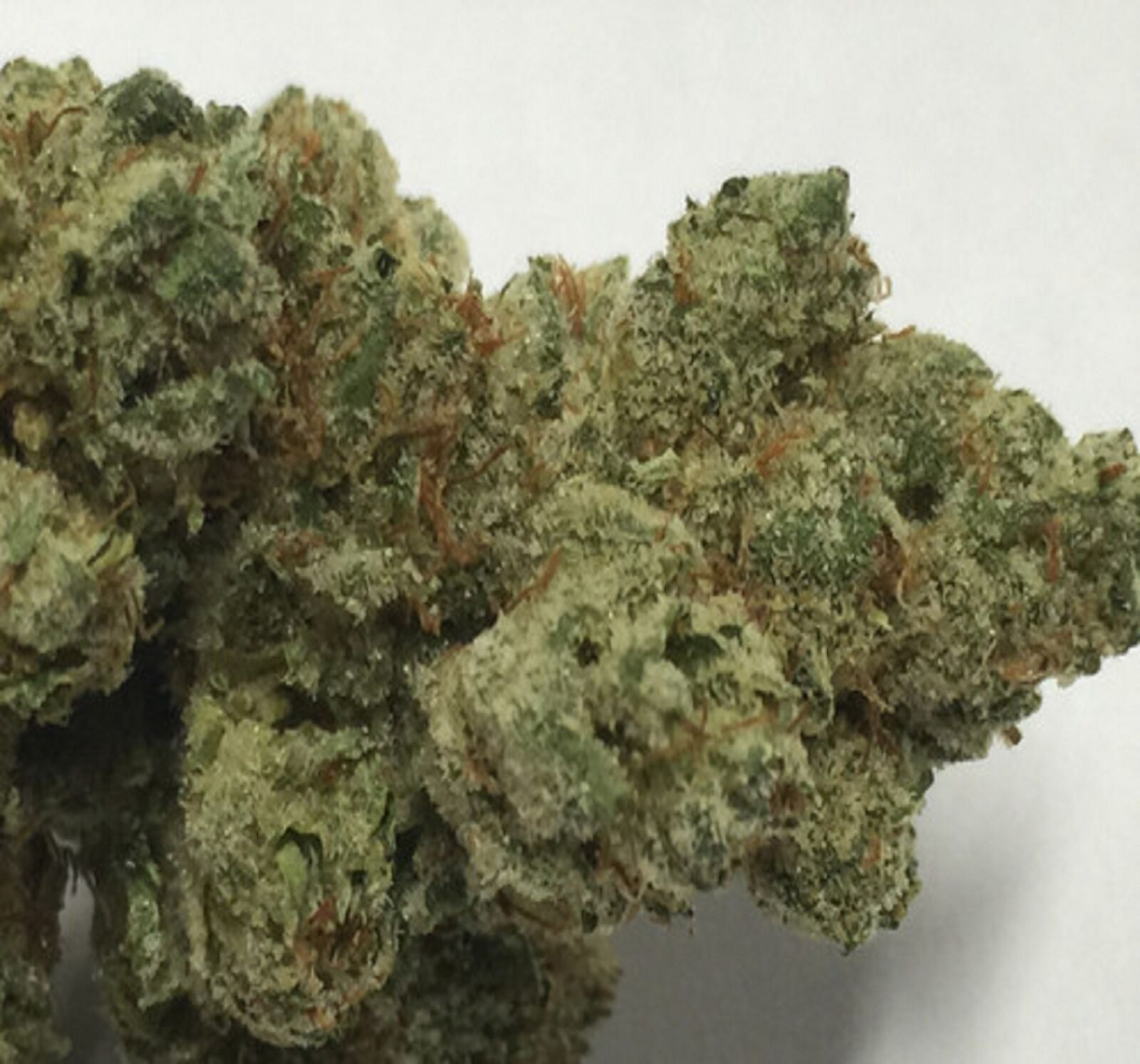 Apple iPhone 6 Plus sample photo. Buy, marijuana, online, buy photography