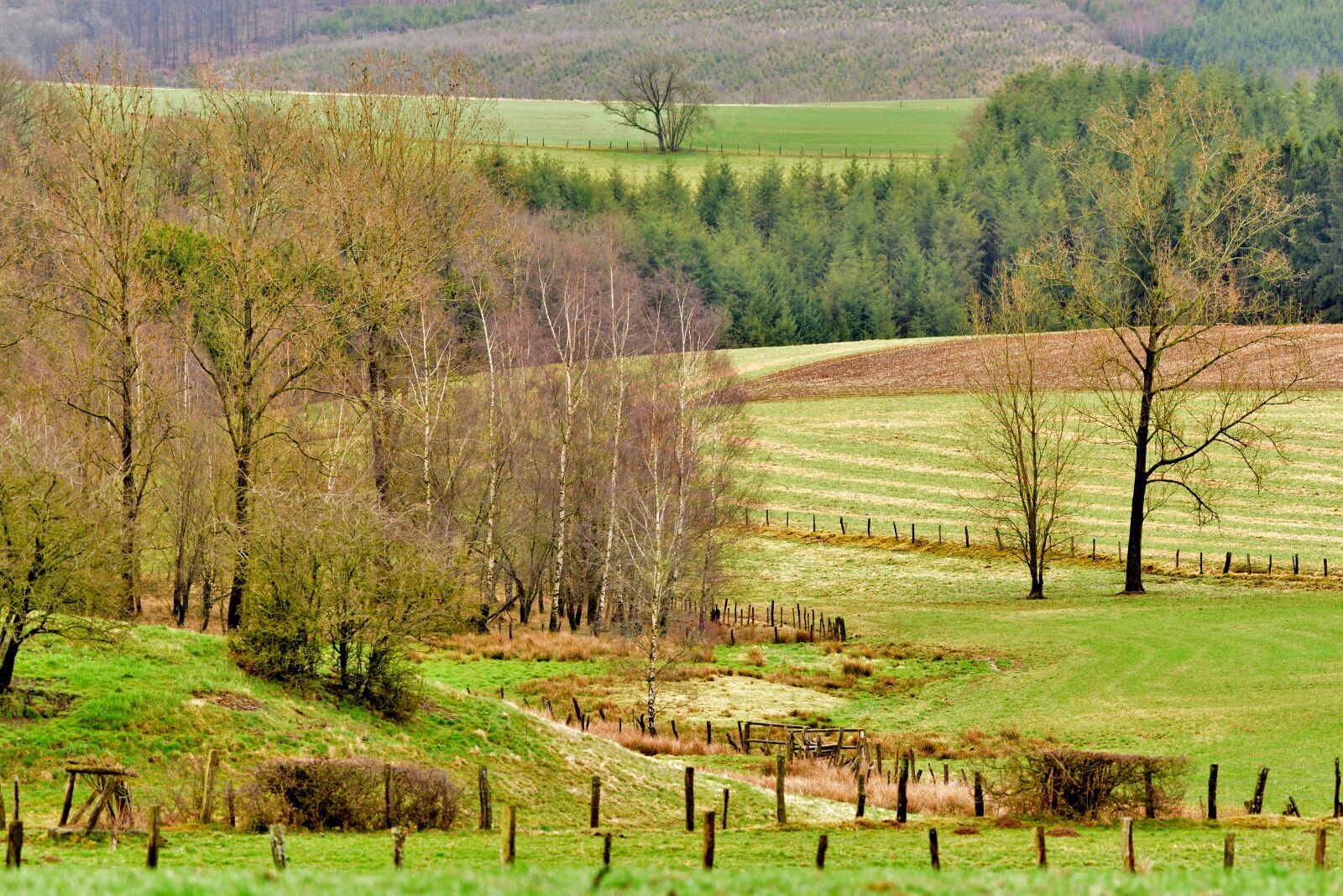 Nikon D600 sample photo. Landscape, pasture, nature photography